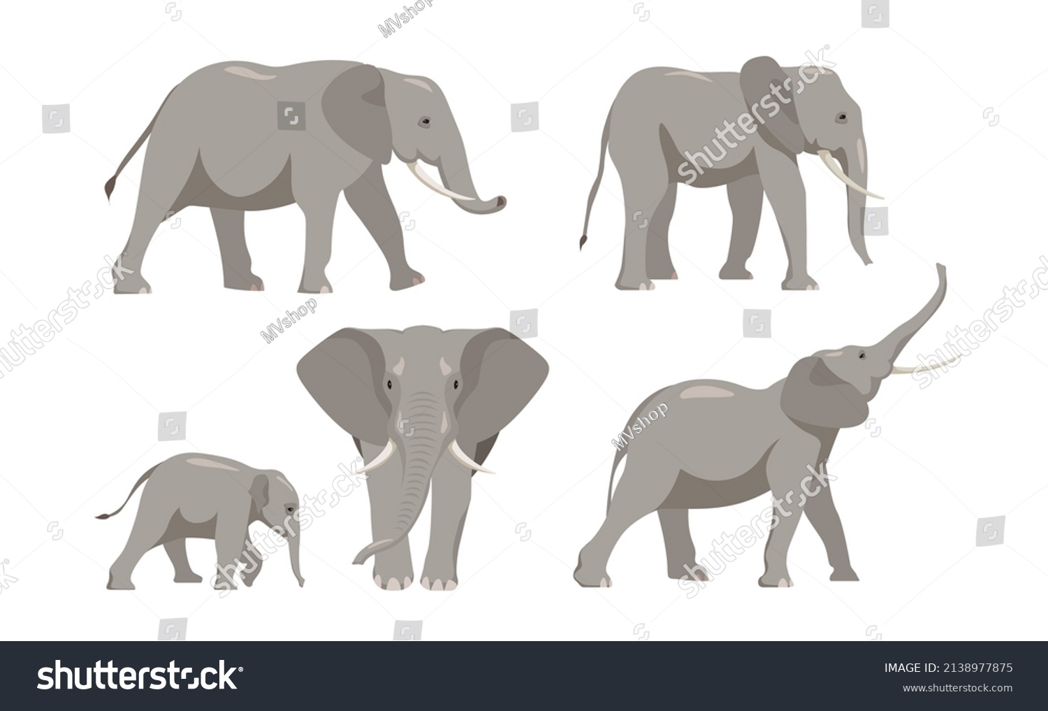 Set Elephants Different Angles Emotions Cartoon Stock Vector (Royalty ...