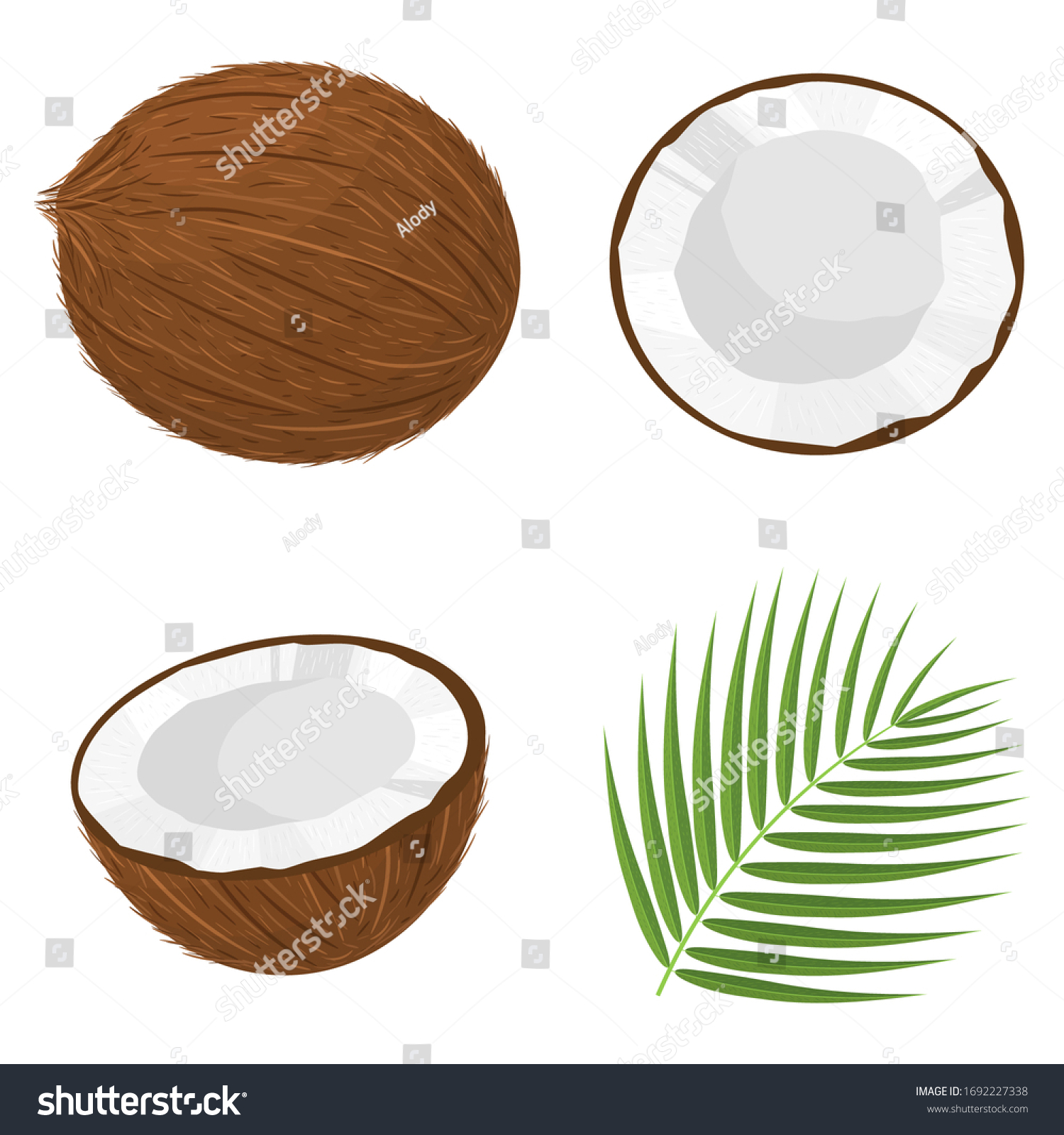 SVG of Set of exotic whole, half, cut slice coconut fruits and leaves isolated on white background. Summer fruits for healthy lifestyle. Organic fruit. Cartoon style. Vector illustration for any design. svg