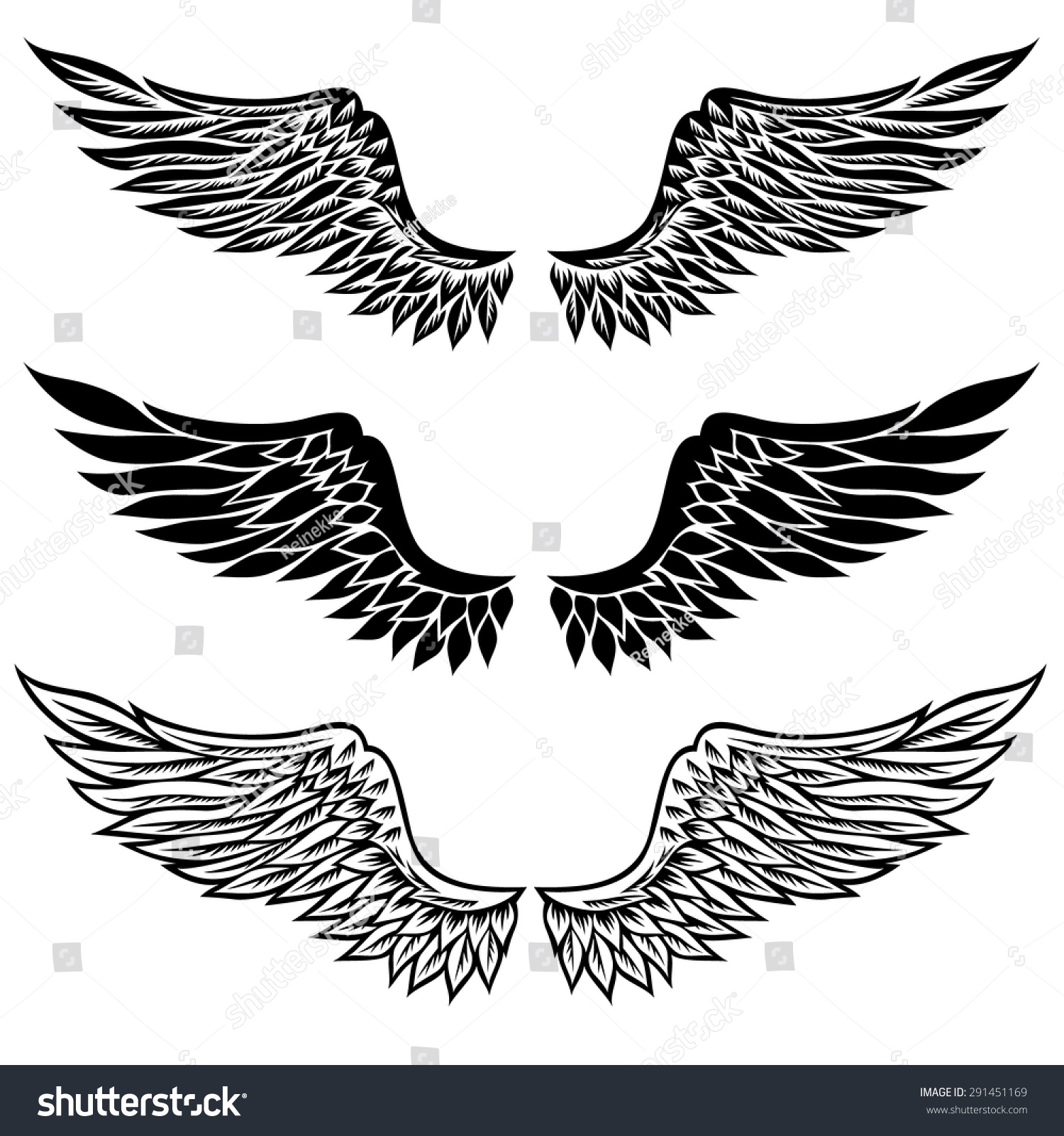 Set Fantasy Stylized Wings Isolated On Stock Vector (Royalty Free ...