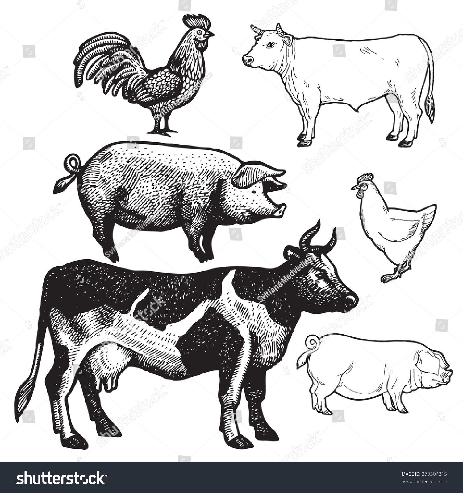 Set Farm Animals Chicken Pork Beef Stock Vector 270504215 - Shutterstock