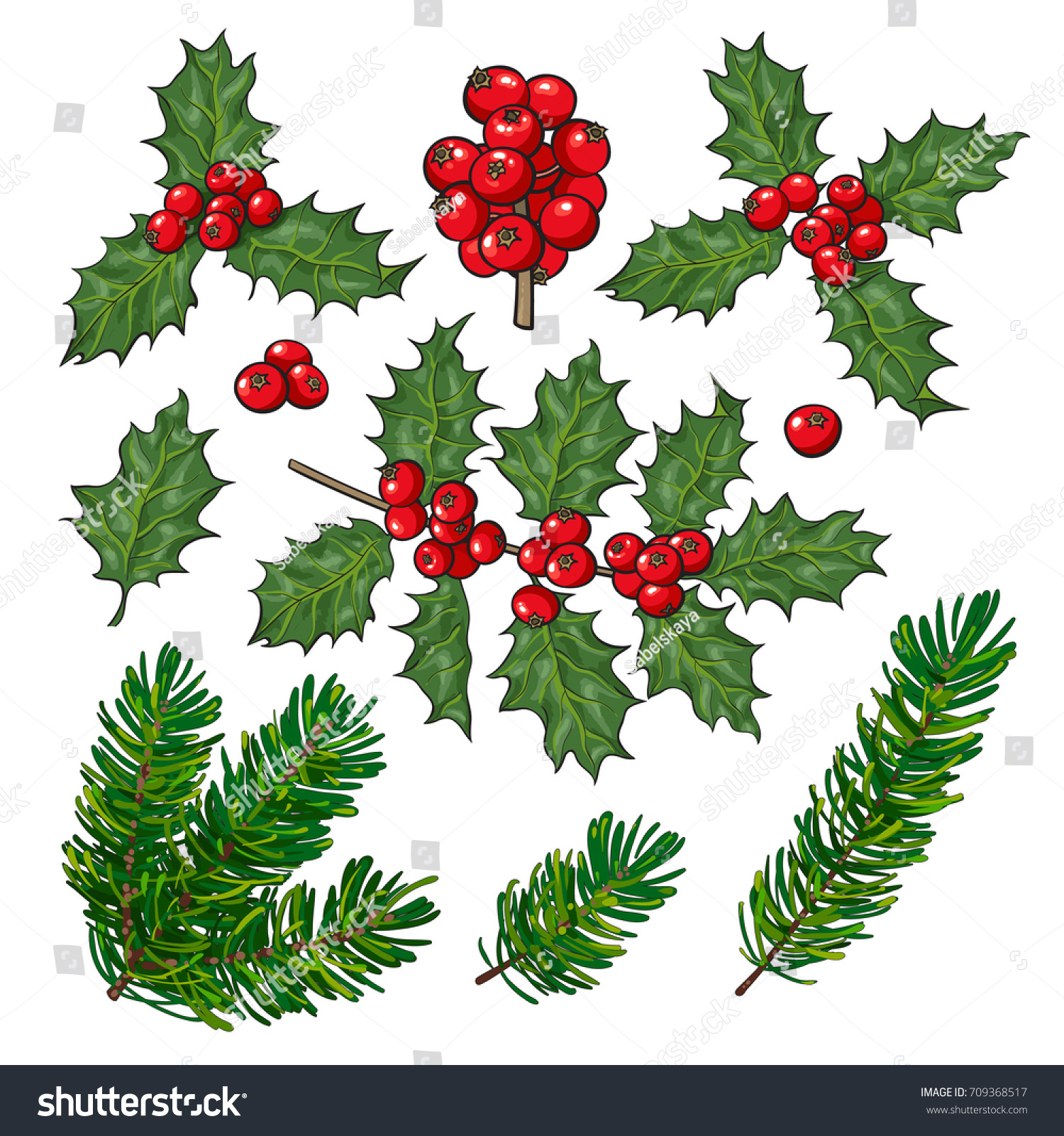 set of fir tree and mistletoe branches with leaves and berries christmas decoration elements - Mistletoe Christmas Decoration set of fir tree and mistletoe branches with leaves and berries christmas decoration elements - Mistletoe Christmas Decoration