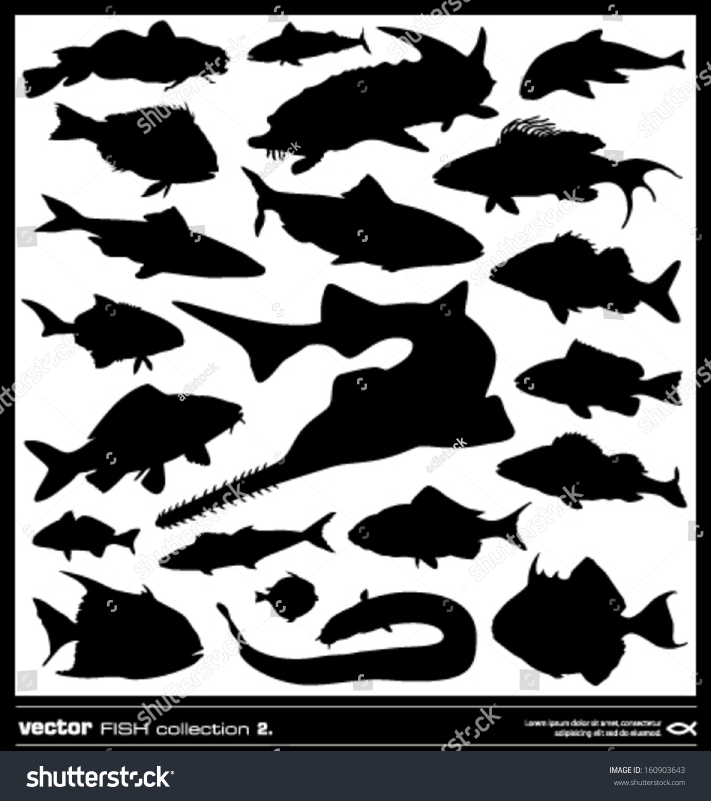 Set Fish Silhouette Vector Salt Fresh Stock Vector 160903643 - Shutterstock