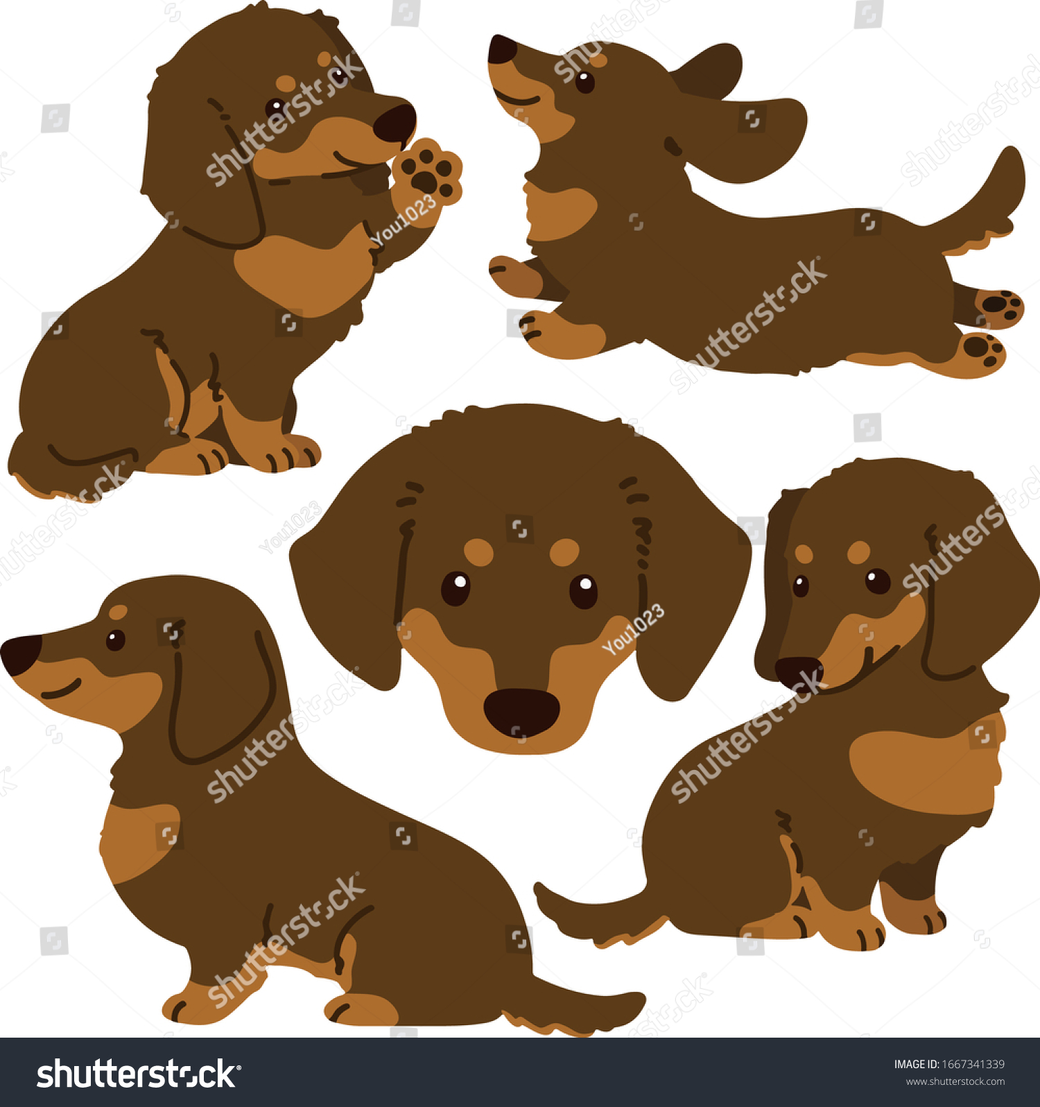 Set Flat Colored Dachshund Illustrations Chocolate Stock Vector ...