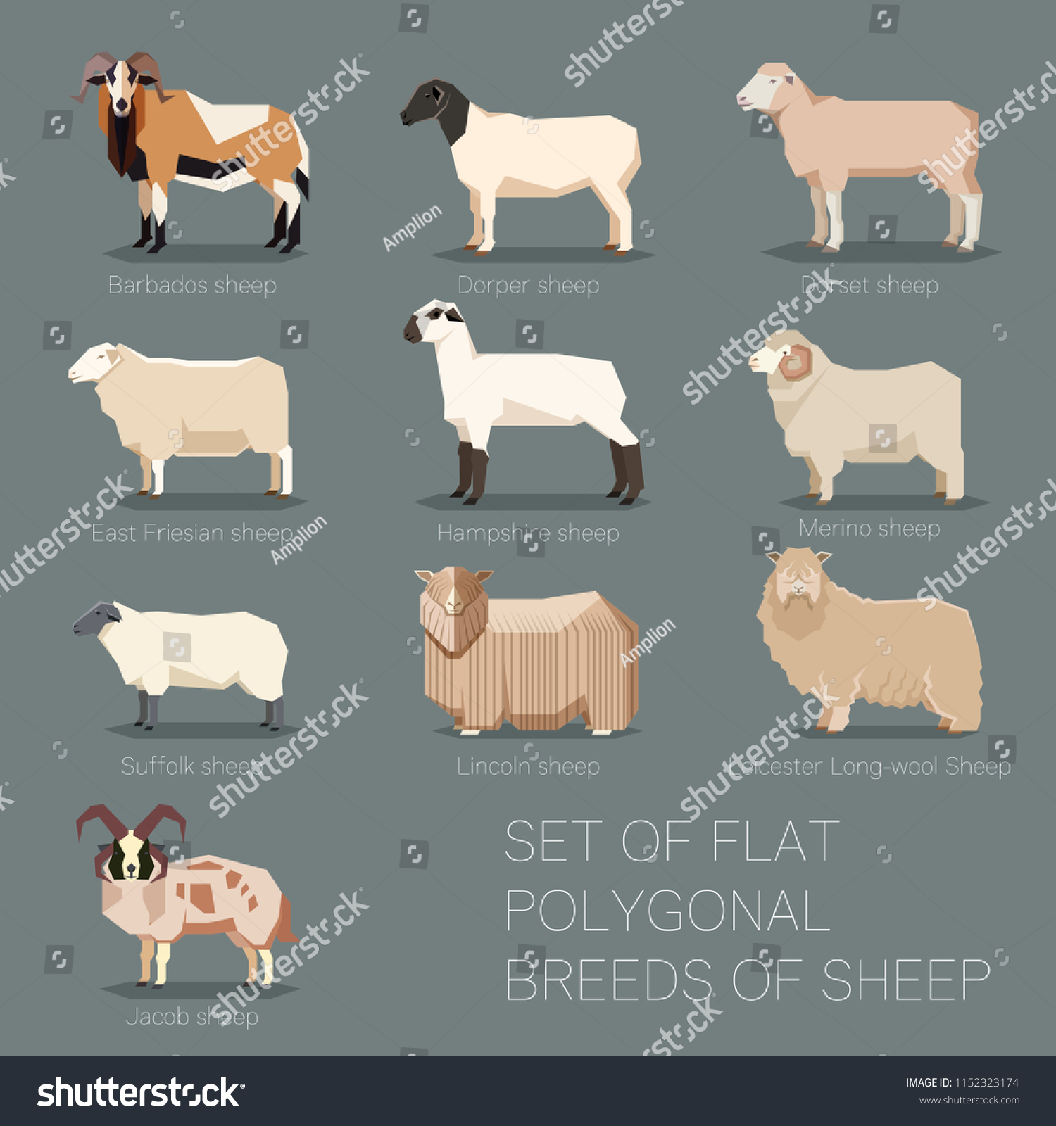 SVG of Set of flat polygonal breeds of sheep icons svg
