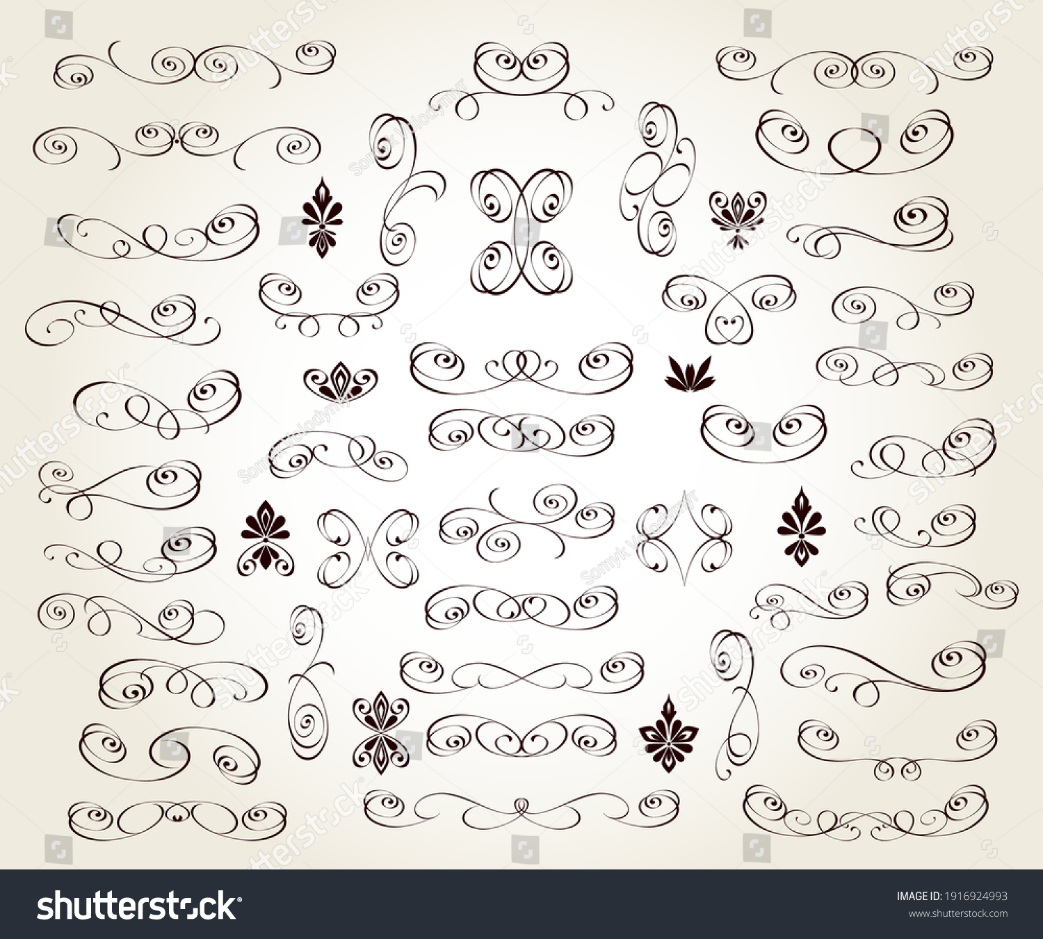 Set Floral Decorative Elements Design Isolated Stock Vector (Royalty ...