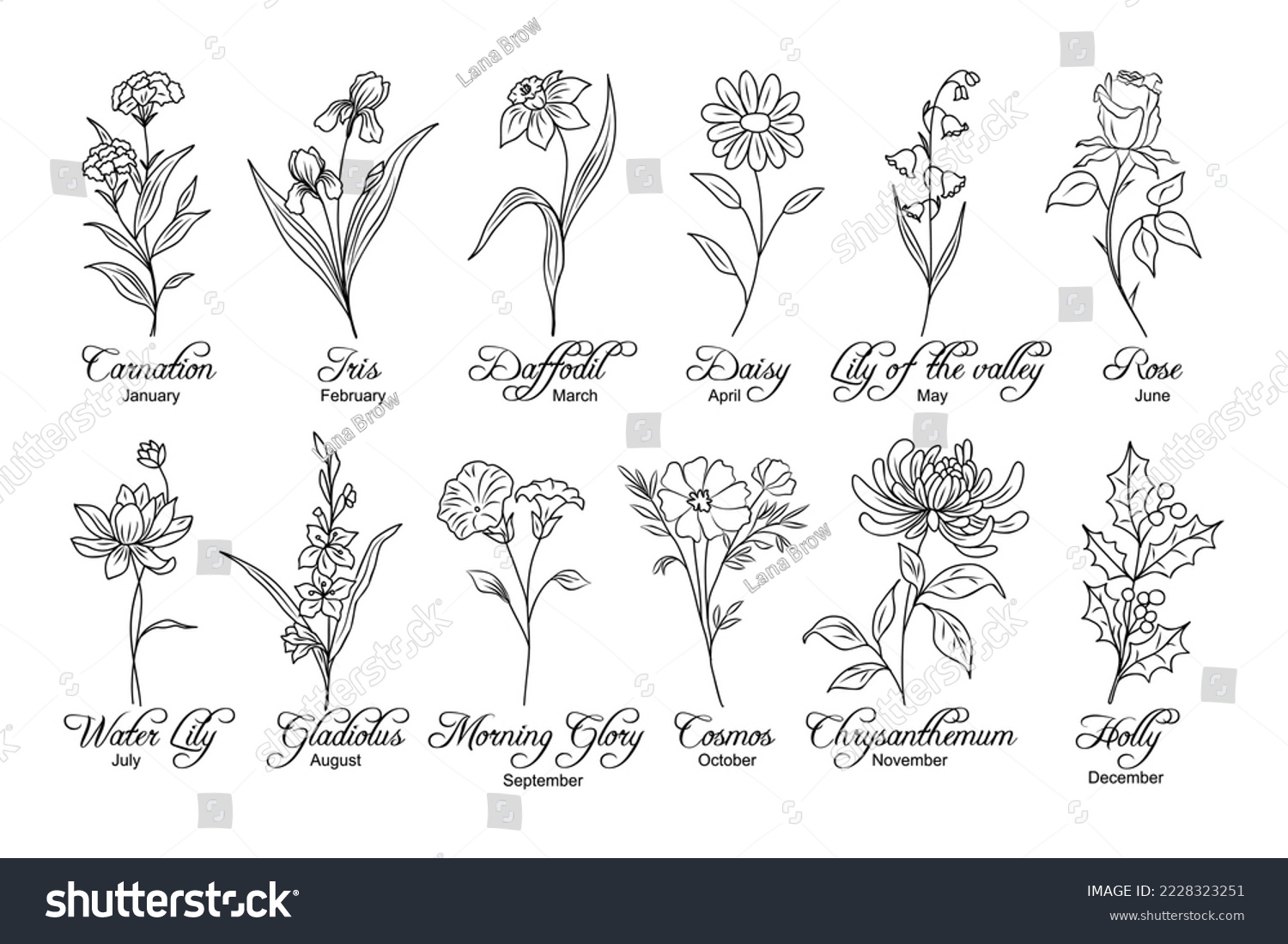 SVG of Set of flower line art vector illustrations. Carnation, daffodil, daisy, lilies, gladiolus, chrysanthemum, cosmos, holly hand drawn black ink sketch. Birth month flowers for jewelry, tattoo, logo. svg