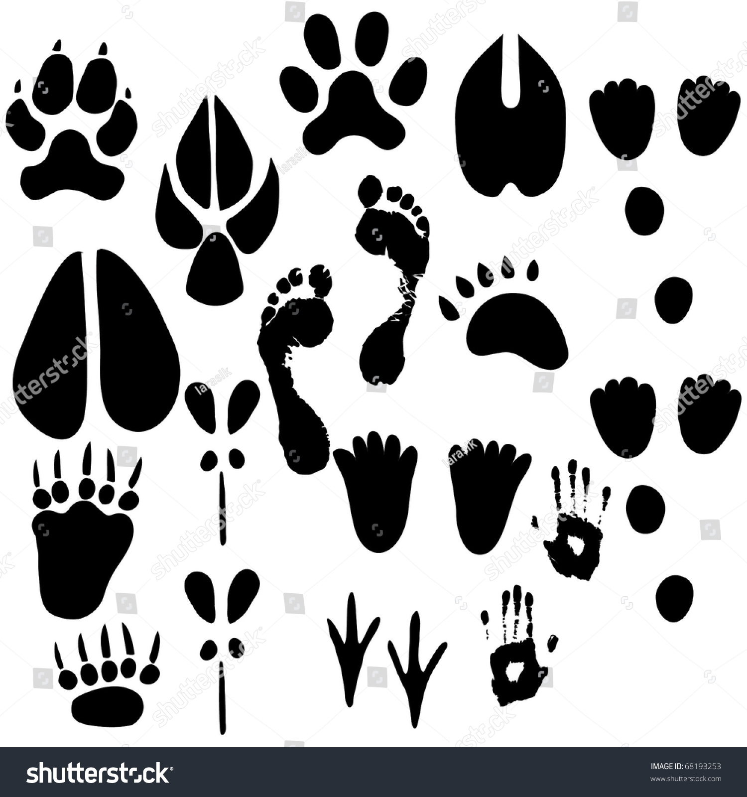 Set Of Footprints Stock Vector Illustration 68193253 : Shutterstock