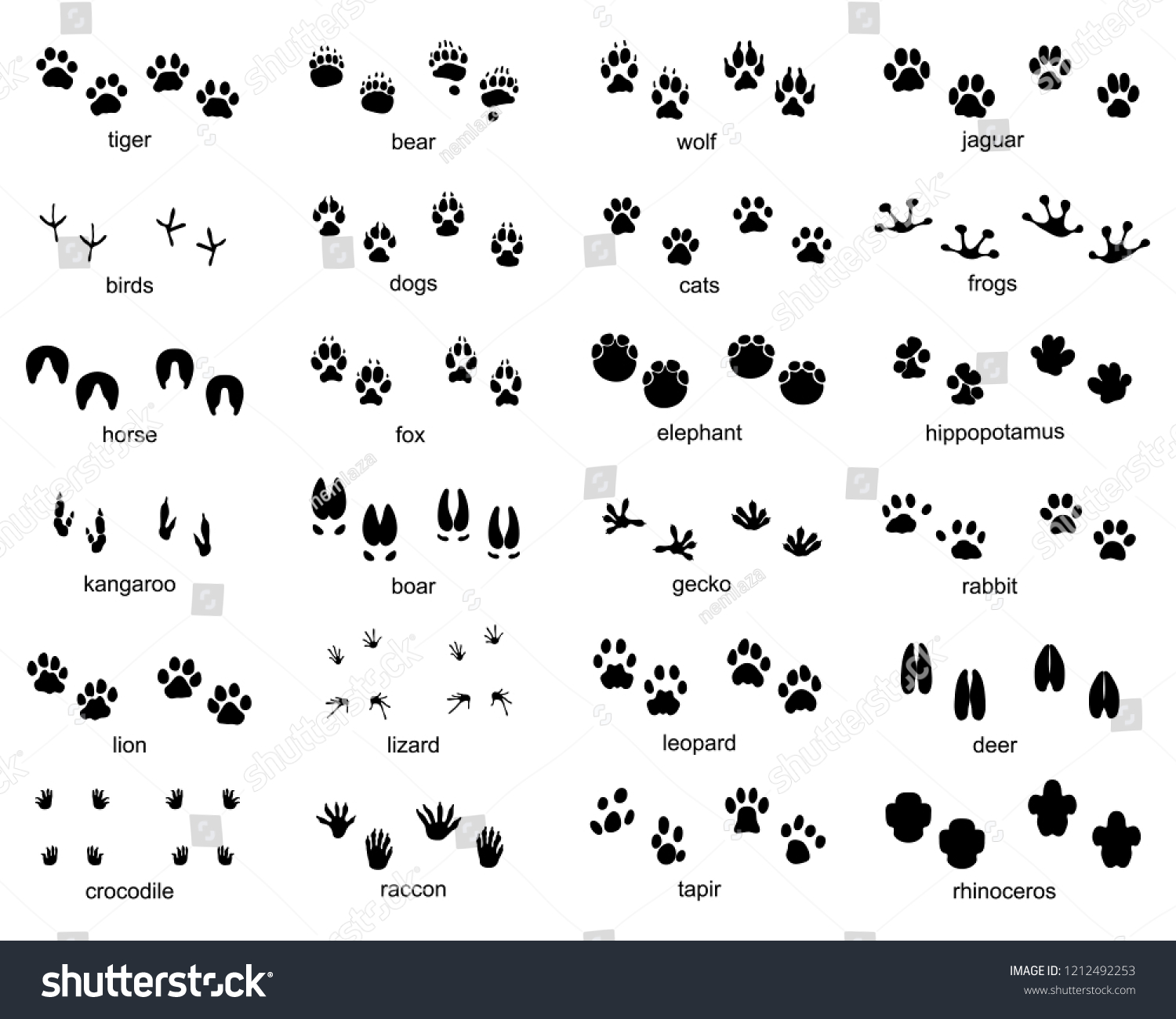 SVG of Set of footprints of wild animals, illustration of black silhouette svg