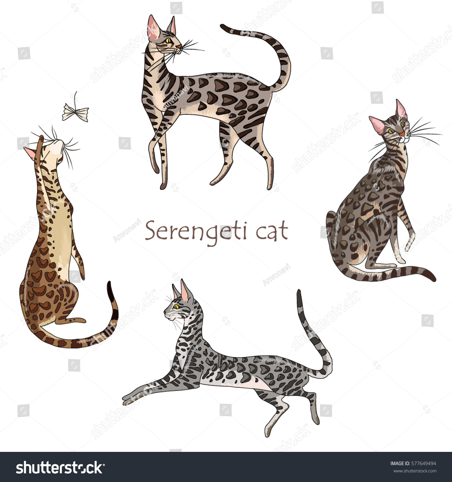 Set Four Elegant Spotted Cats Cat Stock Vector Royalty Free 577649494