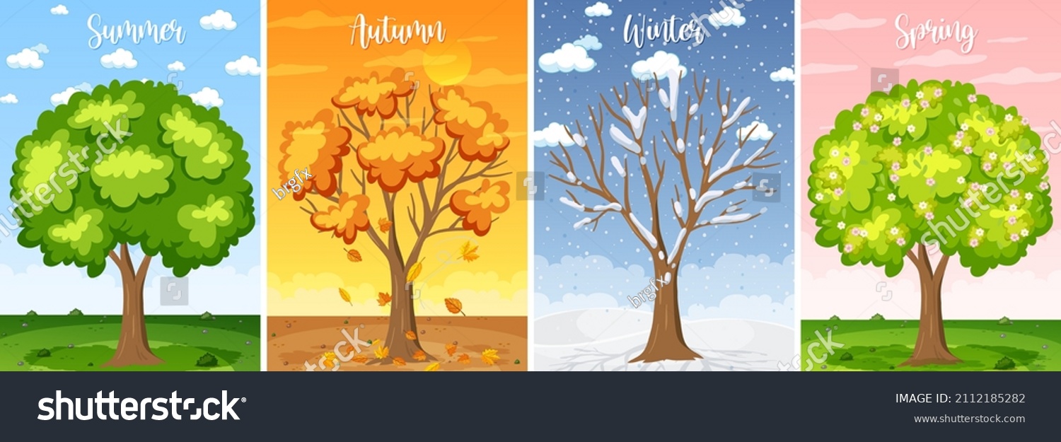 Set Four Seasons Backgrounds Illustration Stock Vector (Royalty Free ...