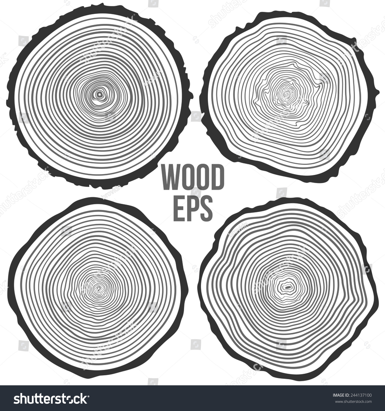 3,657 Tree cross section vector Images, Stock Photos & Vectors ...