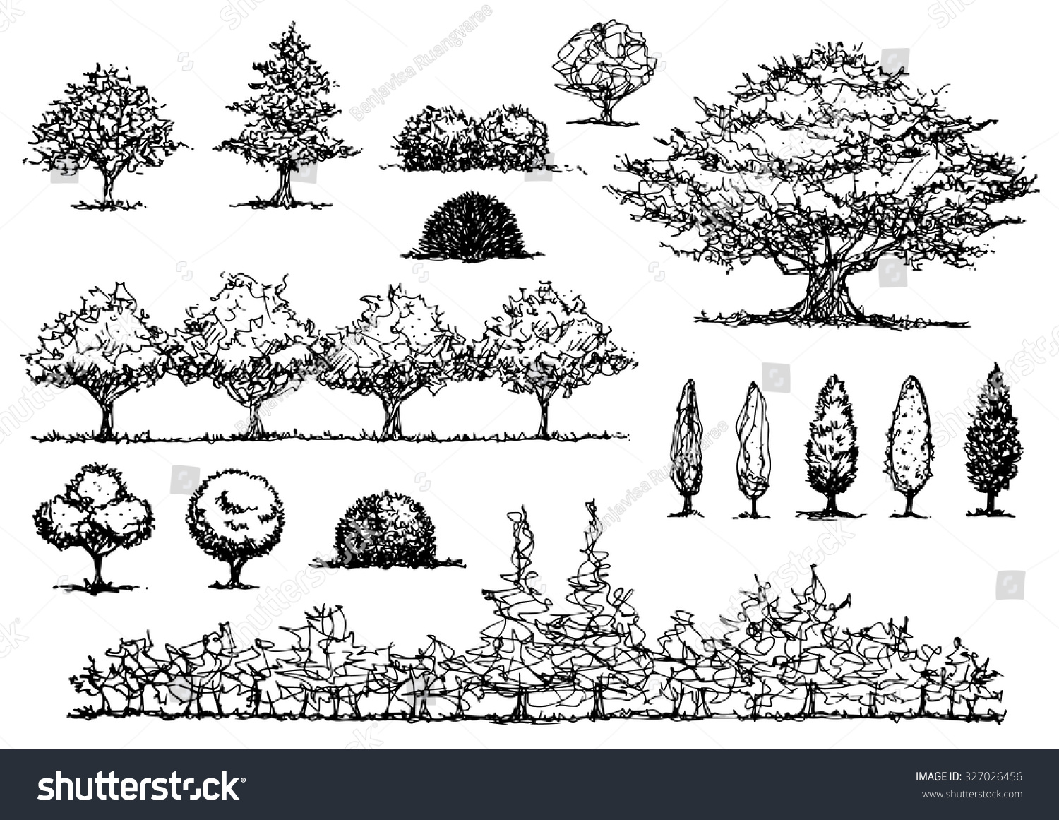 Set Free Hand Drawing Trees Vector Stock Vector Royalty