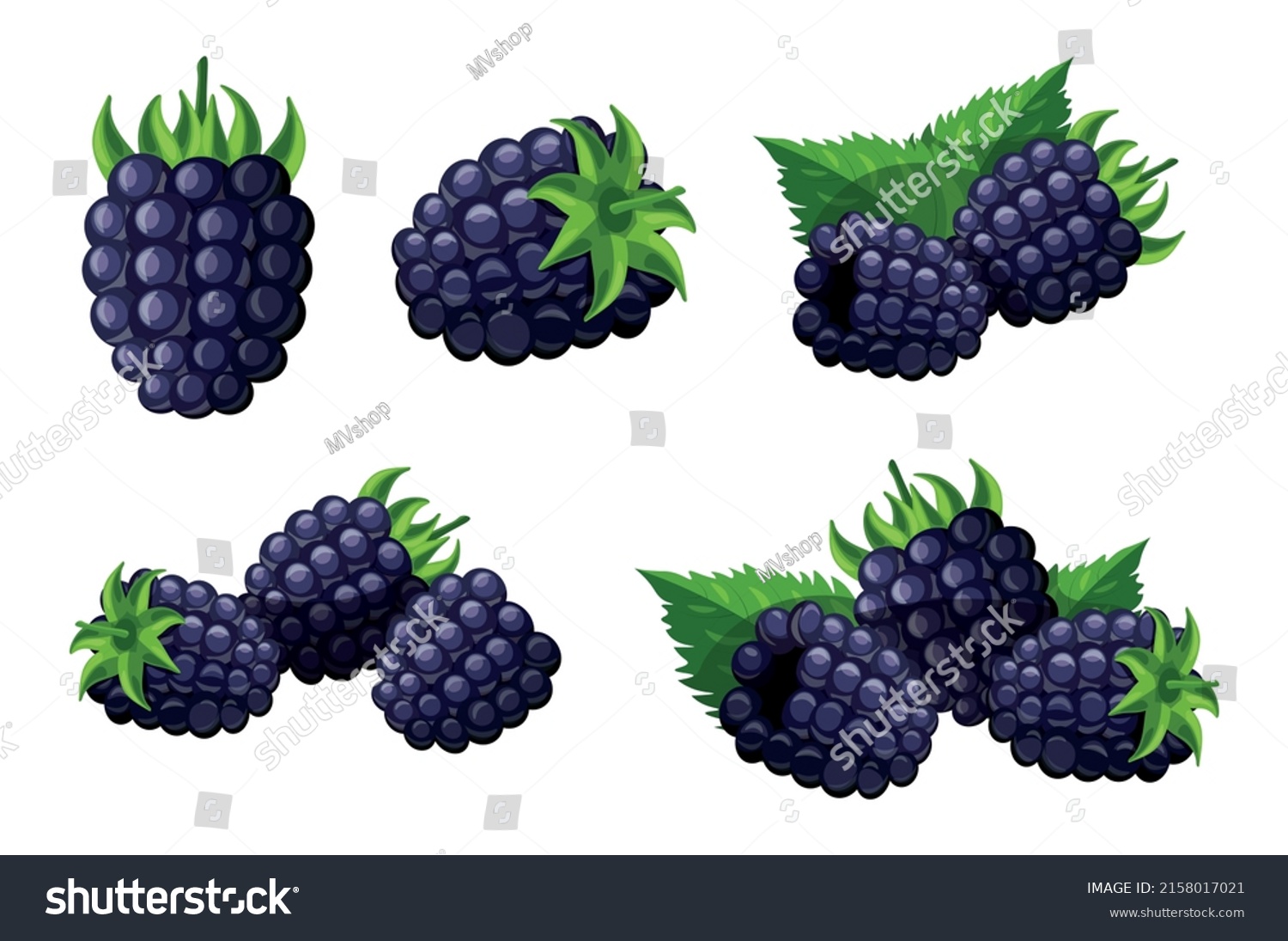 Set Fresh Blue Blackberry Cartoon Style Stock Vector (Royalty Free ...