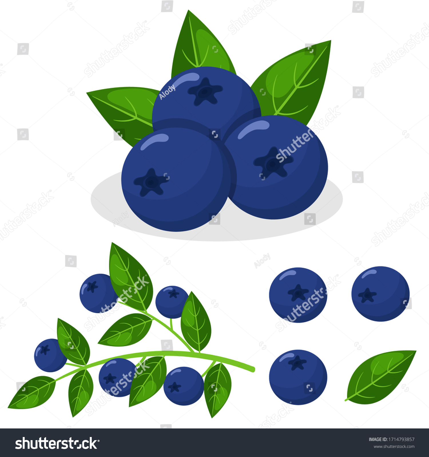 66,663 Blueberry vector Images, Stock Photos & Vectors | Shutterstock