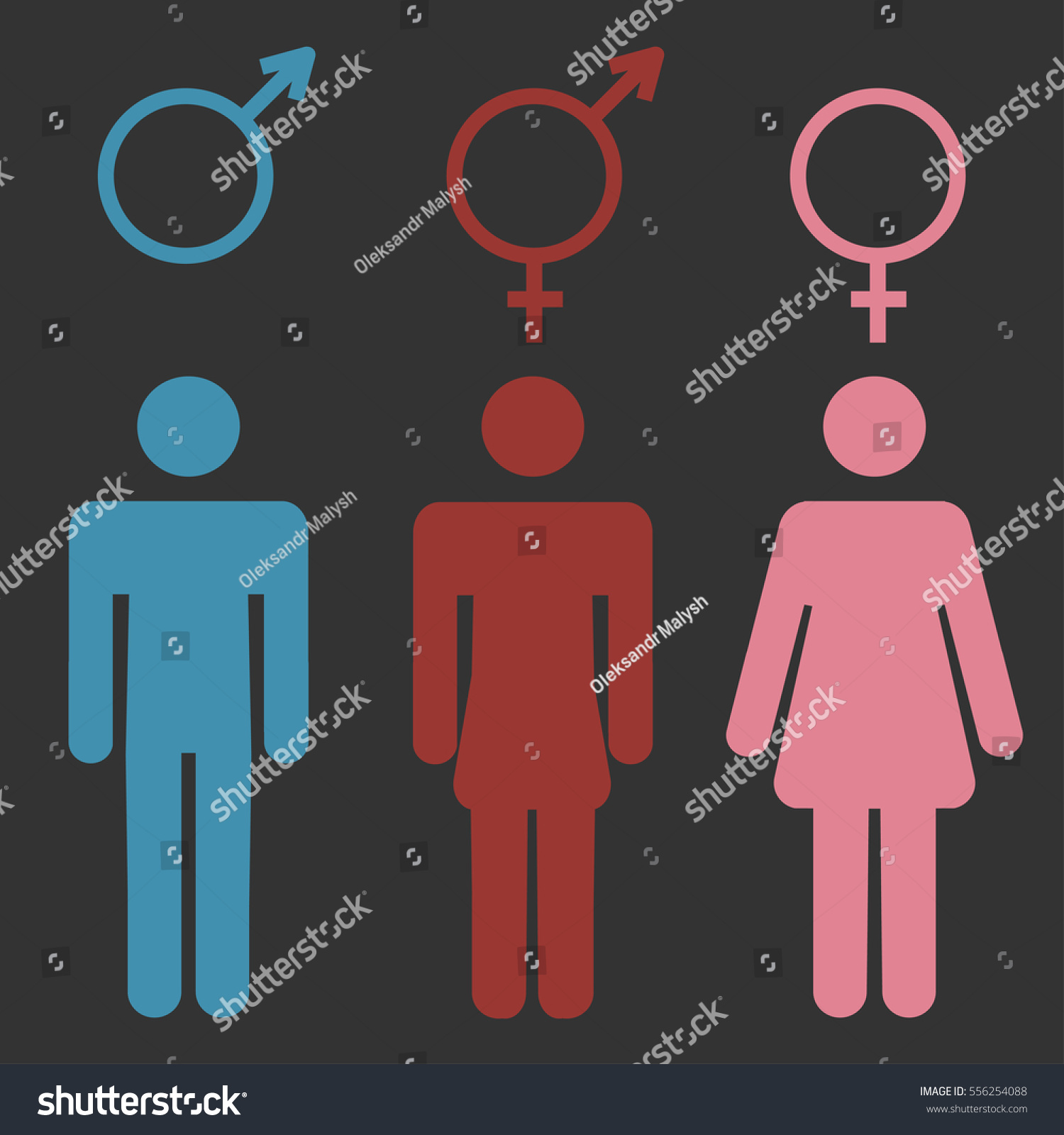 Set Gender Symbols Stylized Silhouettes Male Stock Vector Royalty Free 556254088 3479