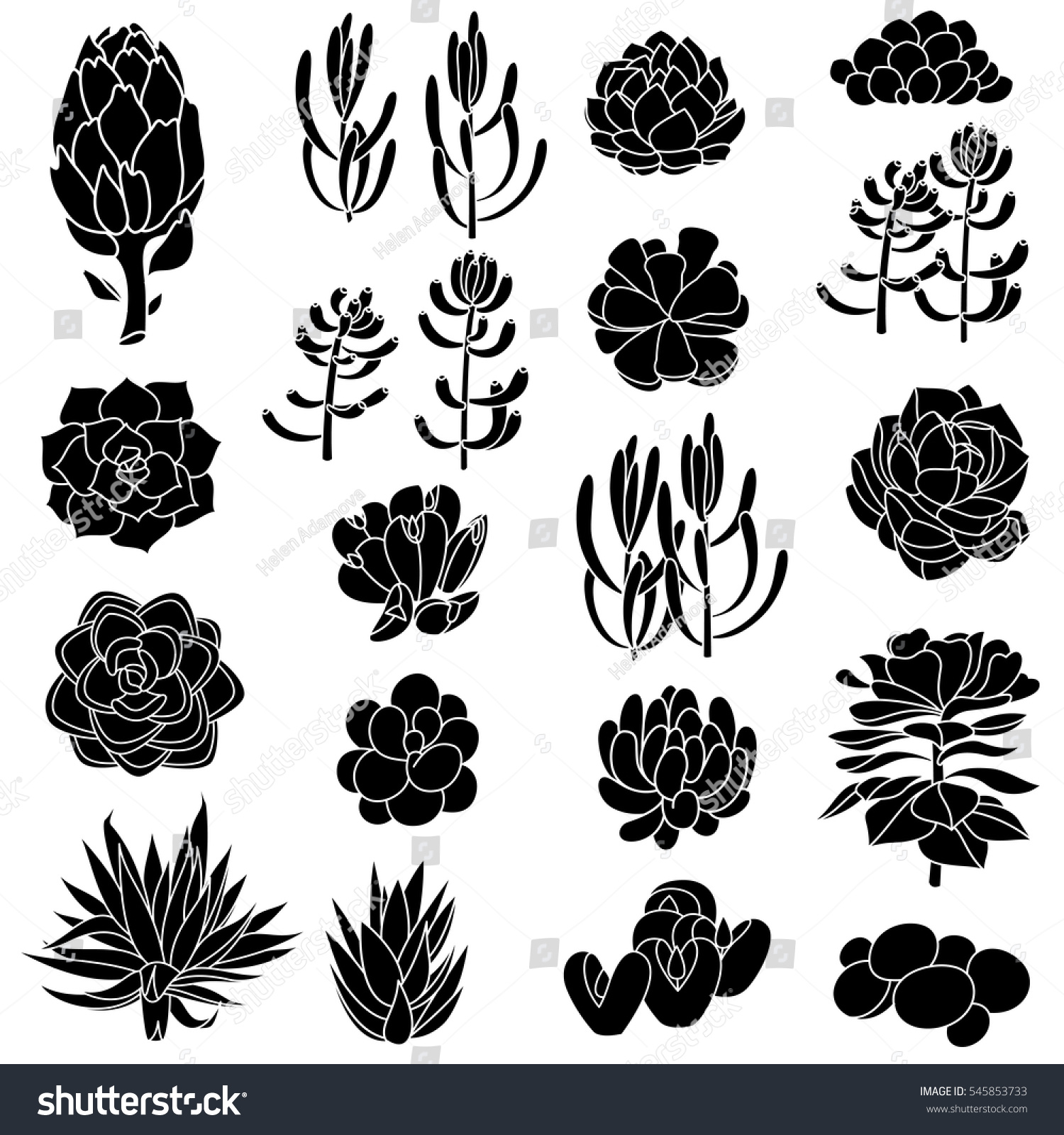 Set Gradient Black Succulents Artichokes Leaves Stock ...