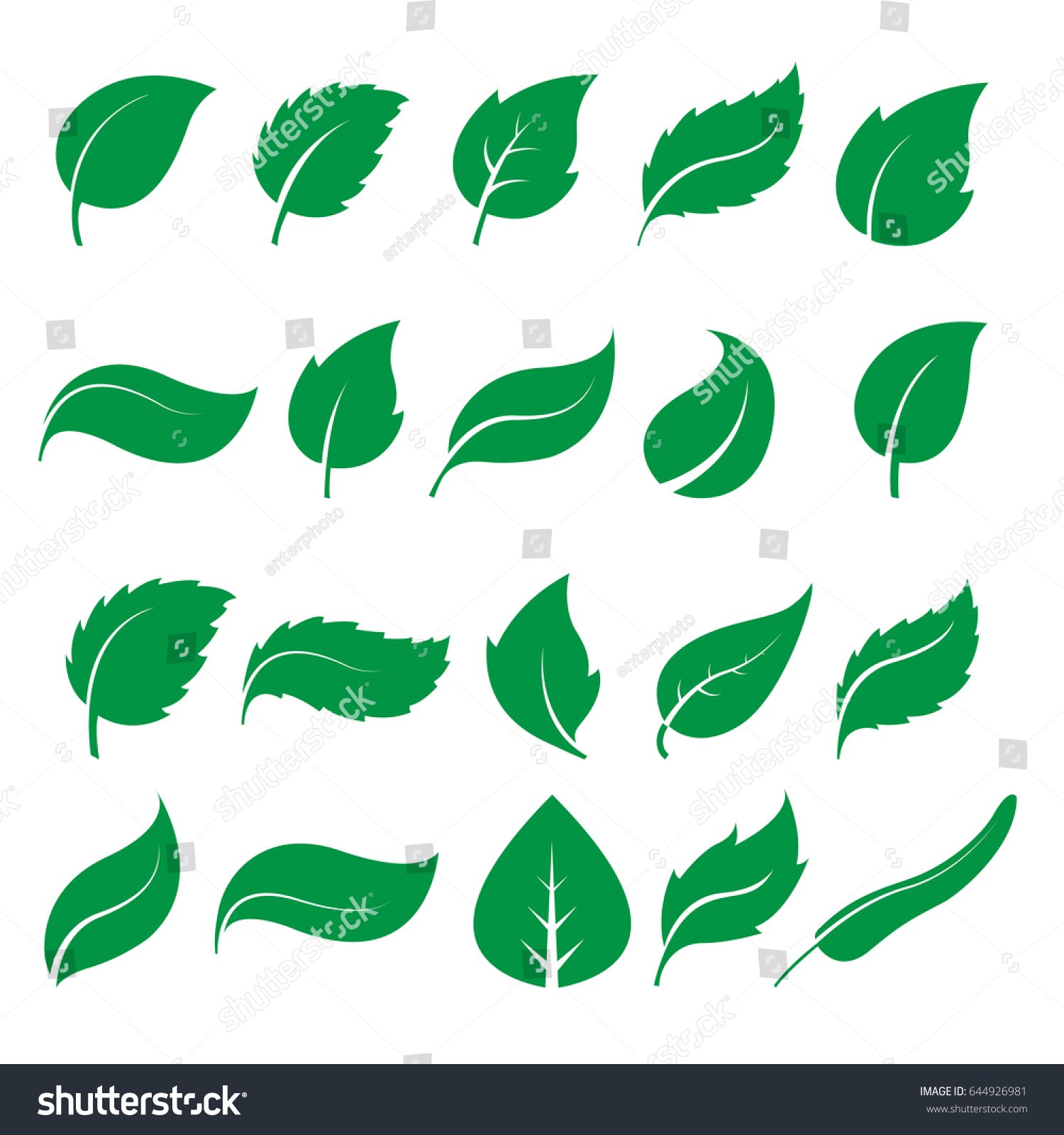 Set Green Leaf Icons On White Stock Vector (Royalty Free) 644926981