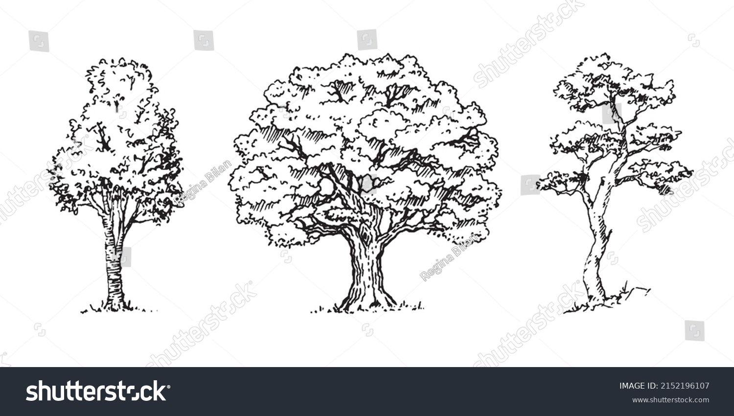 SVG of Set of hand drawn architect tree sketches. Perfect for architectural illustration landscape svg