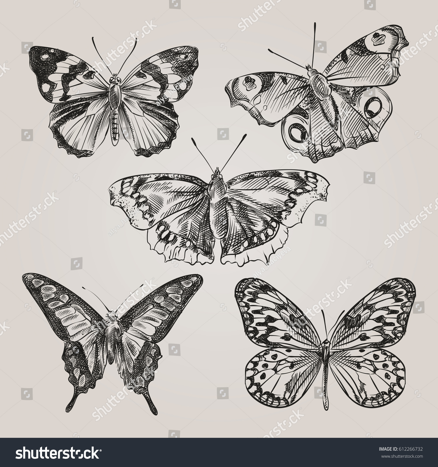 Set Hand Drawn Butterflies Isolated On Stock Vector Royalty Free 612266732