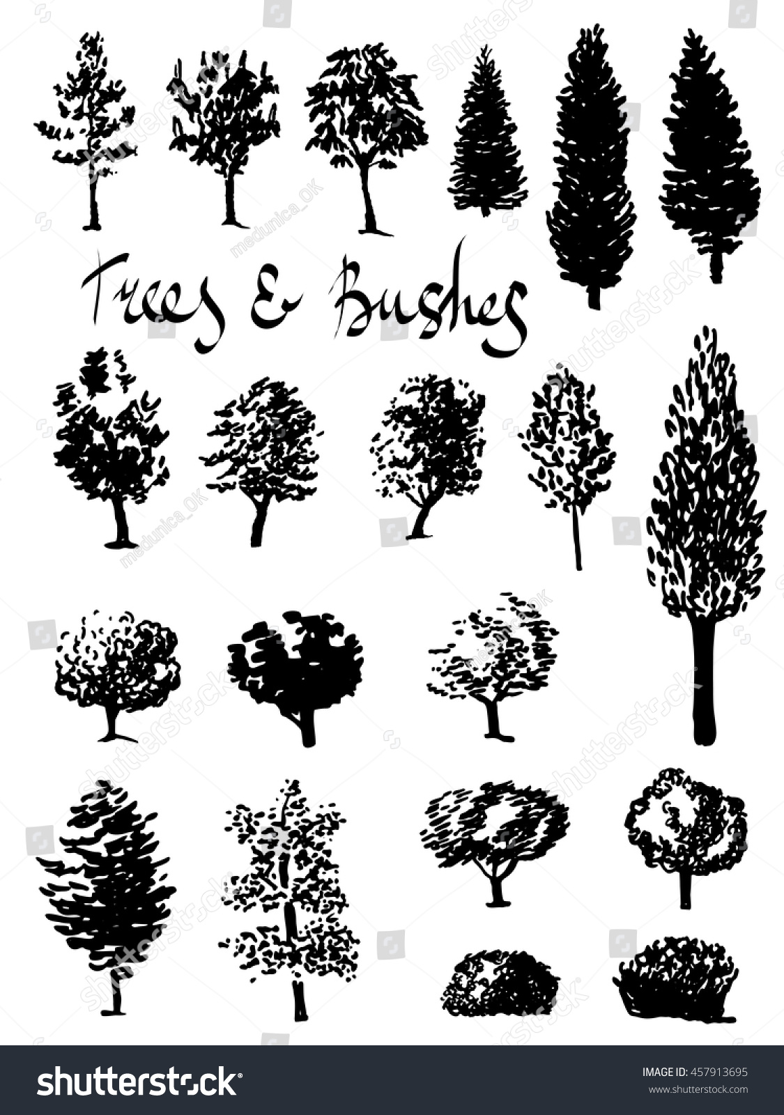 Set Hand Drawn Trees Ink Style Stock Vector (Royalty Free) 457913695 ...