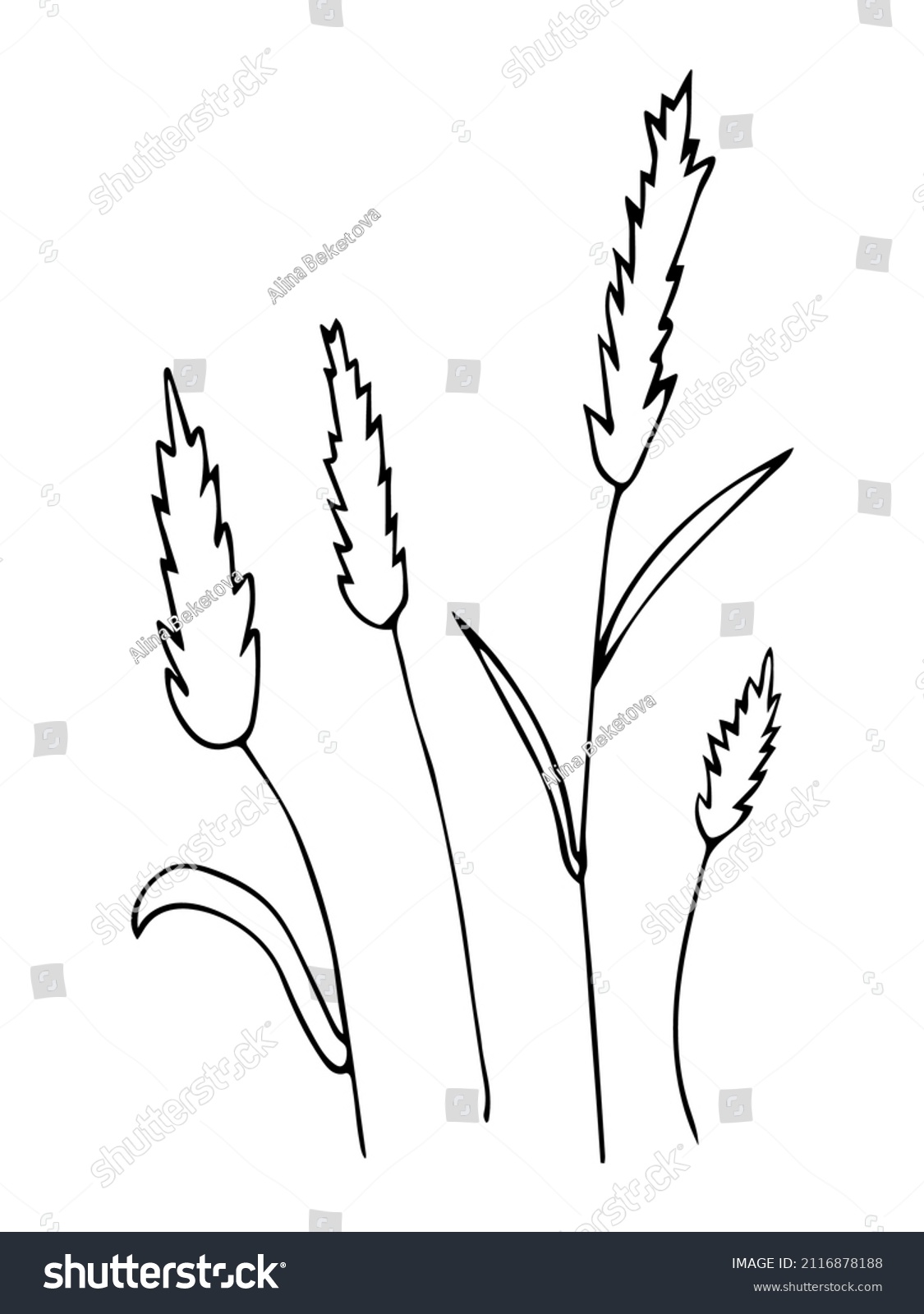 Set Hand Drawn Outline Wheat Black Stock Vector (Royalty Free) 2116878188