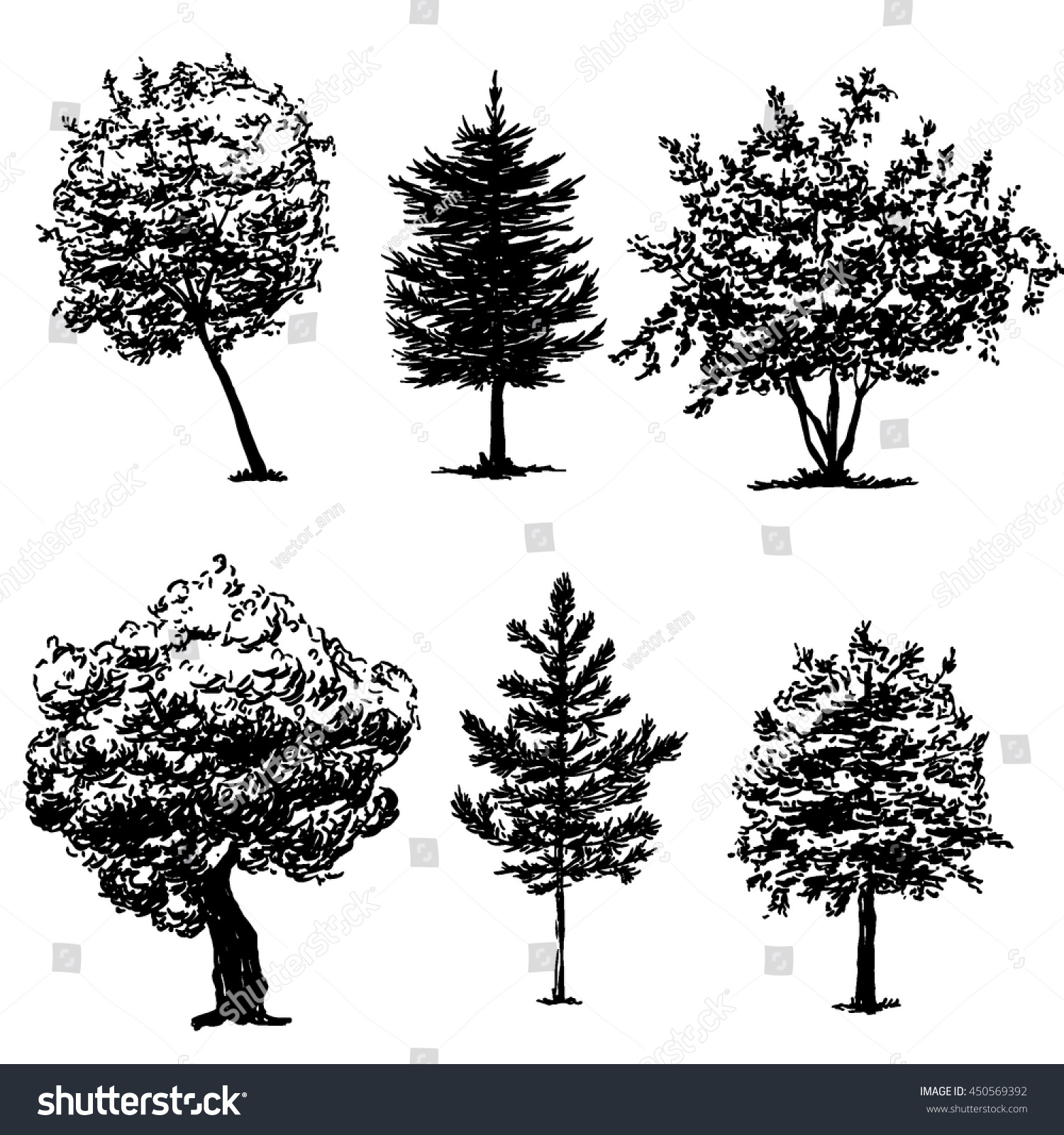 Set Hand Drawn Tree Sketches Black Stock Vector 450569392 - Shutterstock