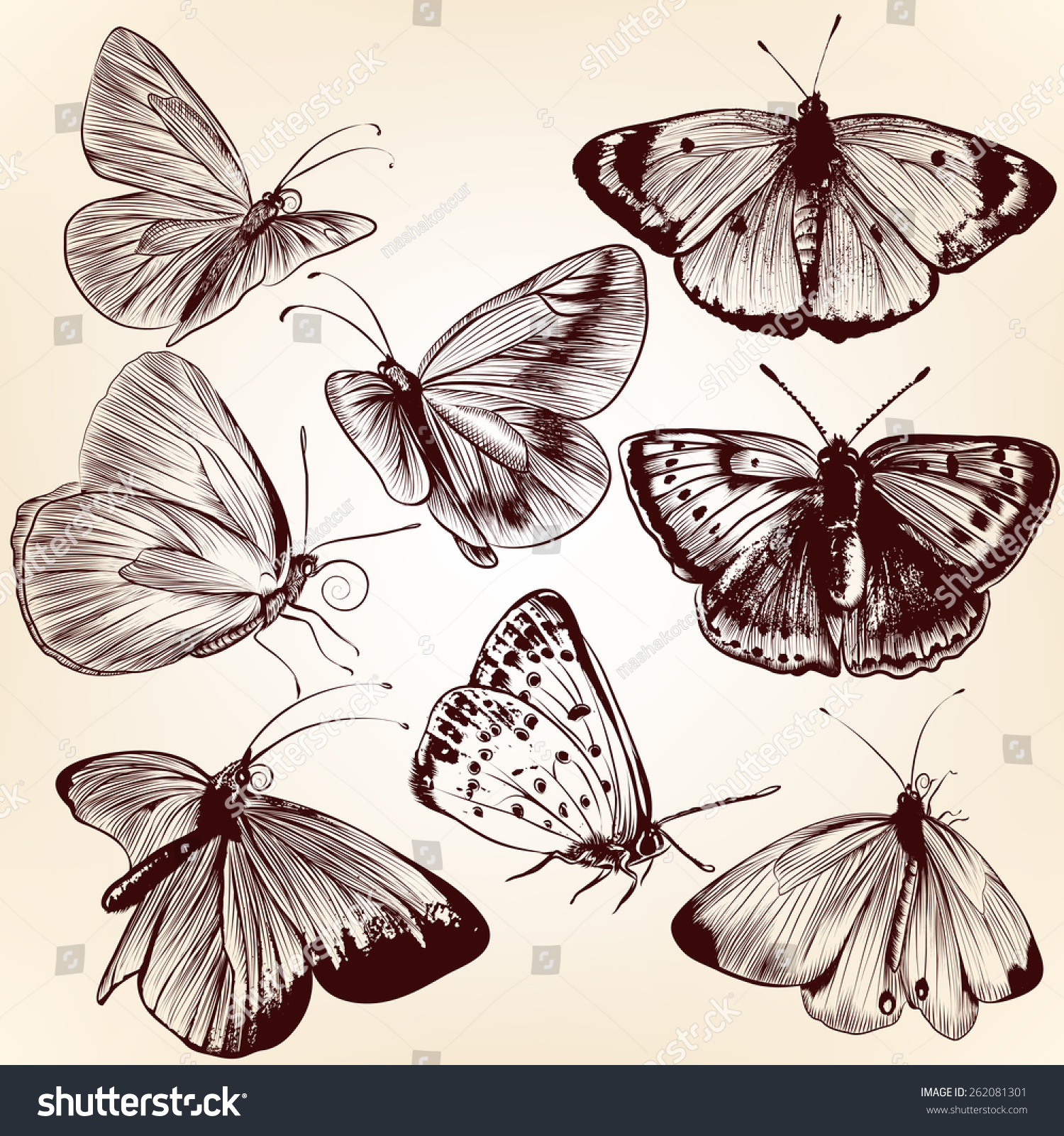 Set Hand Drawn Vector Butterflies Your Stock Vector 262081301 Shutterstock 2281