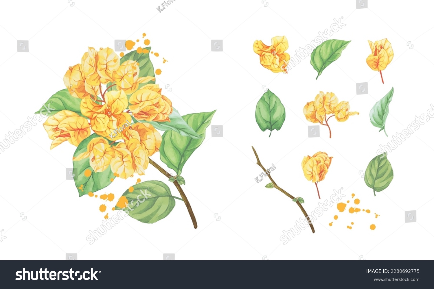SVG of Set of hand drawn yellow bougainvillea watercolor collection vector svg