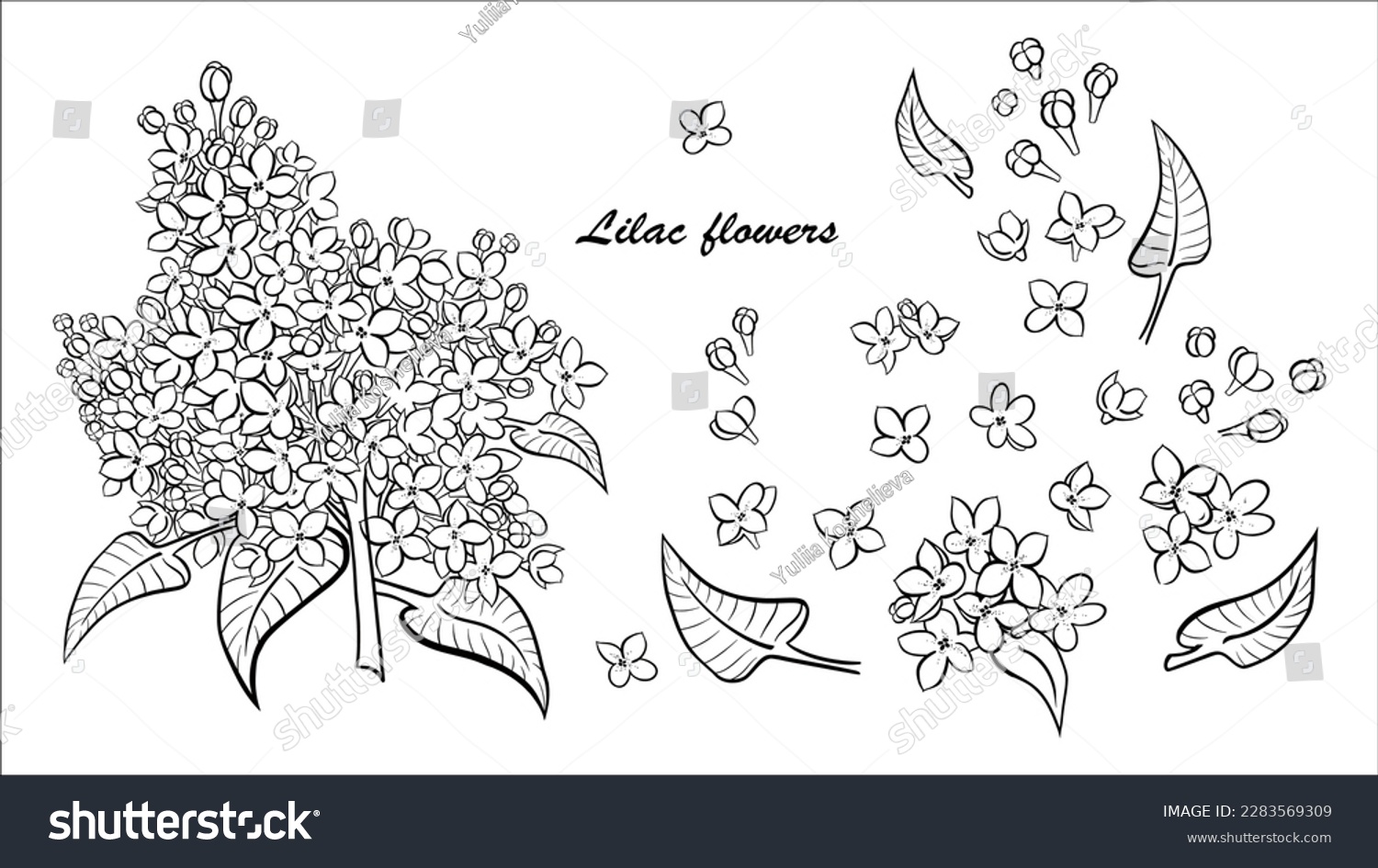 SVG of Set of illustrations of lilac flowers elements hand drawn svg