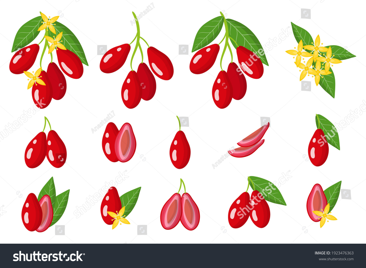 SVG of Set of illustrations with dogwood exotic fruits, flowers and leaves isolated on a white background. Isolated vector icons set. svg