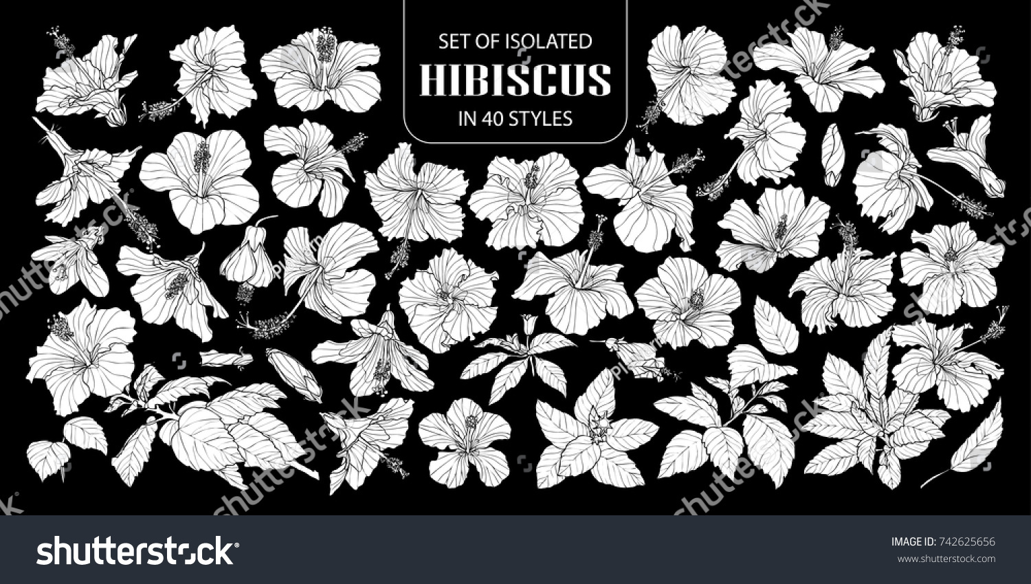 40スタイルの白いシルエットハイビスカスのセット 白い平面に手描きの花のベクターイラストで 黒い背景にアウトラインはありません のベクター画像素材 ロイヤリティフリー