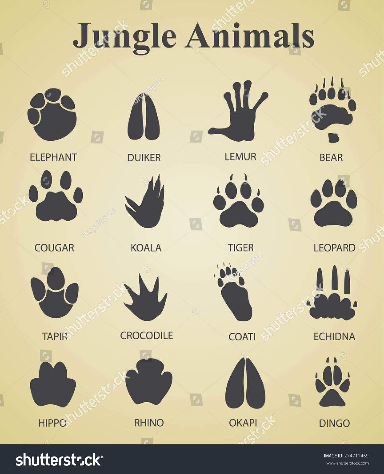 set jungle animal tracks stock vector 274711469 shutterstock set jungle animal tracks stock vector 274711469 shutterstock