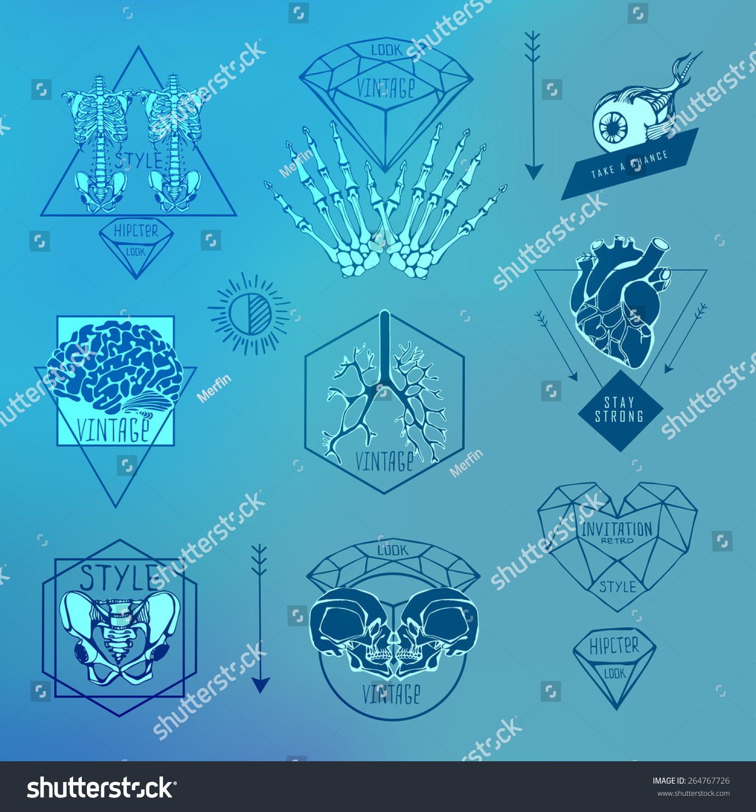 set-labels-hand-draw-human-skeleton-vector-de-stock-libre-de-regal-as