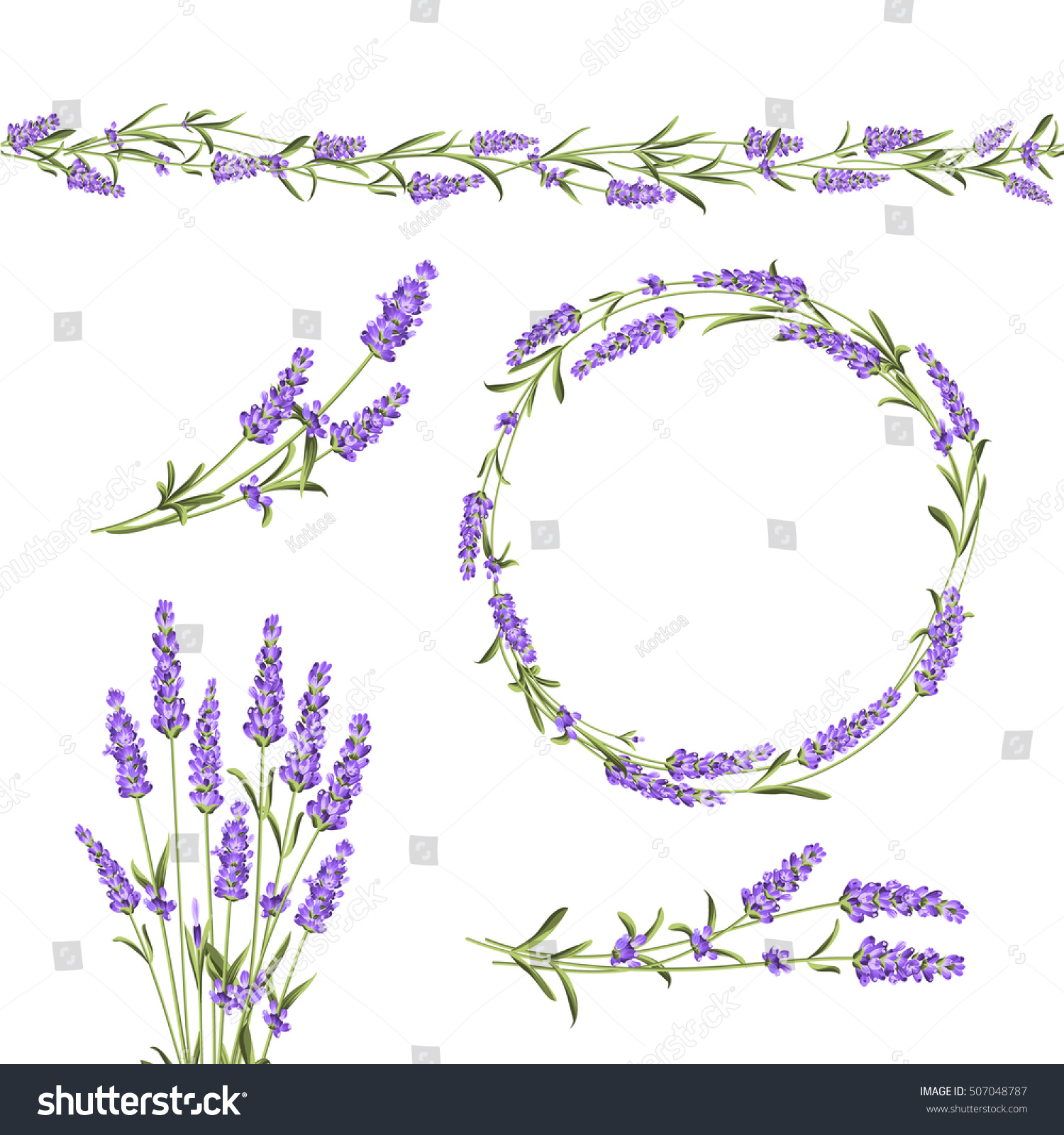 Set Lavender Flowers Elements Collection Lavender 스톡 벡터(사용료 없음
