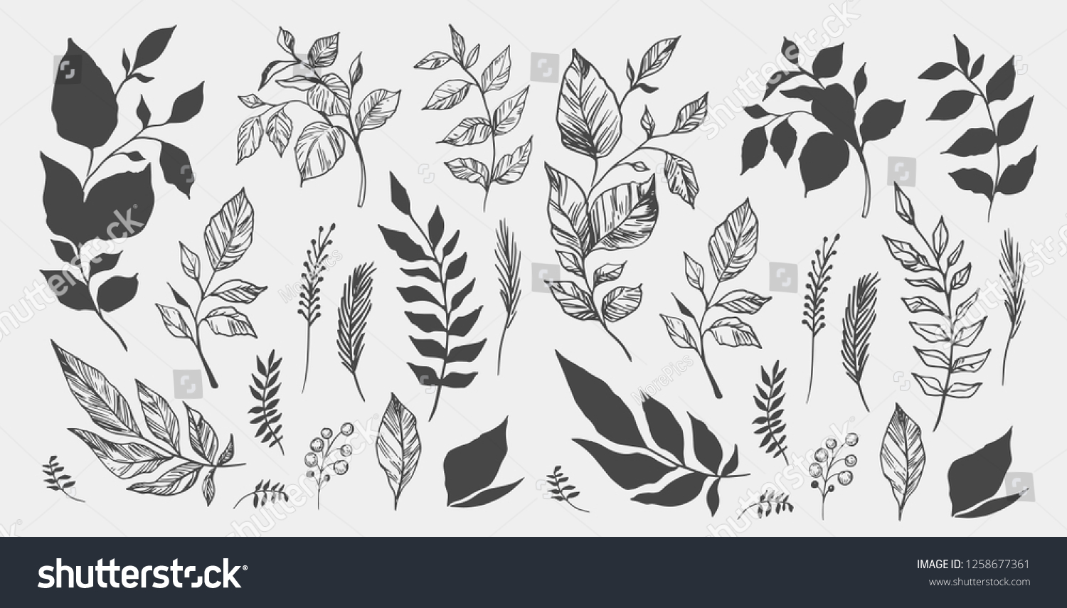 SVG of Set of leaves. Hand drawn decorative elements. Vector illustration svg