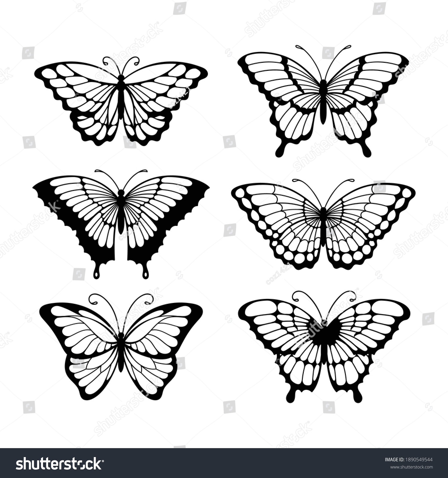 ラインアートの蝶のセット 白黒のイラスト蝶のセット のベクター画像素材 ロイヤリティフリー