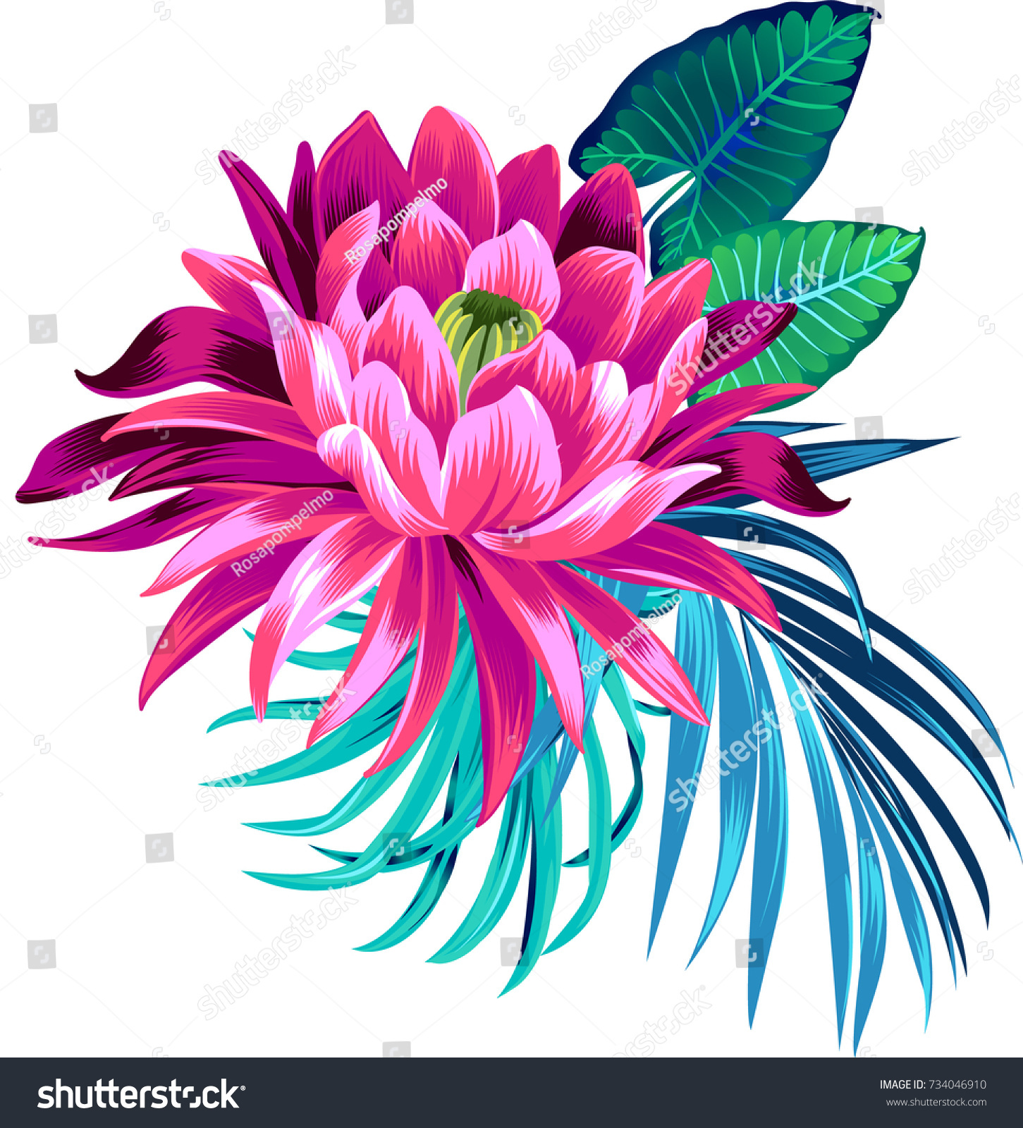 Set Lotus Flowers Leaves Vector Waterlily Stock Vector Royalty Free 734046910 6937