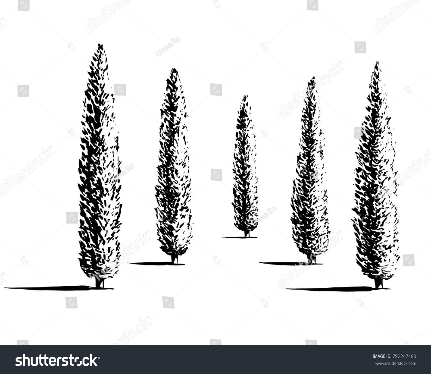 SVG of Set of Mediterranian, Italian or Tuscan cypresses illustration. Valley of trees of different sizes. Black sihlouette of coniferous evergreen Pencil pine isolated on white background. svg