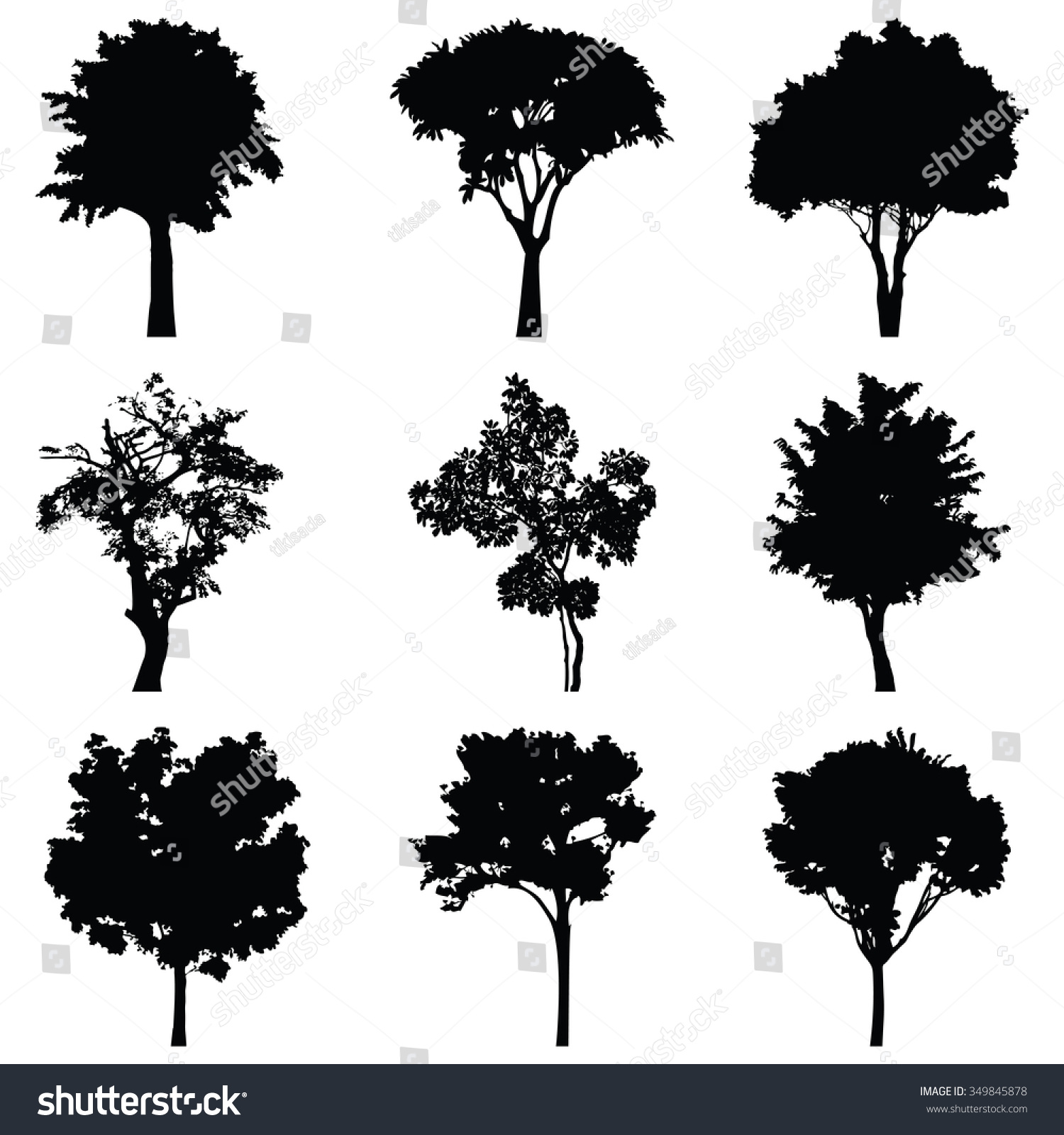 Set Nine Trees Vector Silhouette Black Stock Vector (Royalty Free ...