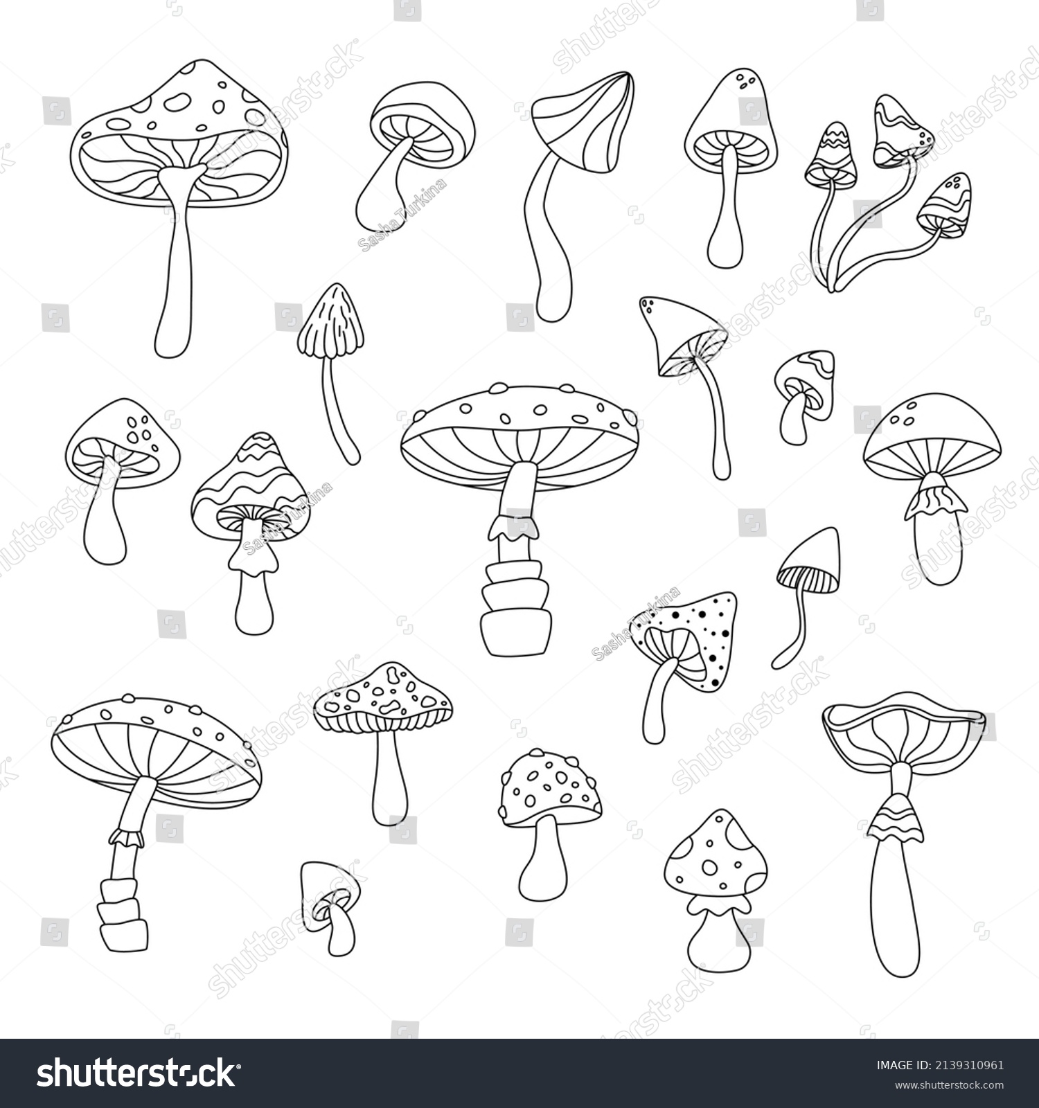 Set Outline Mushrooms Hand Drawn Vector Stock Vector (Royalty Free ...