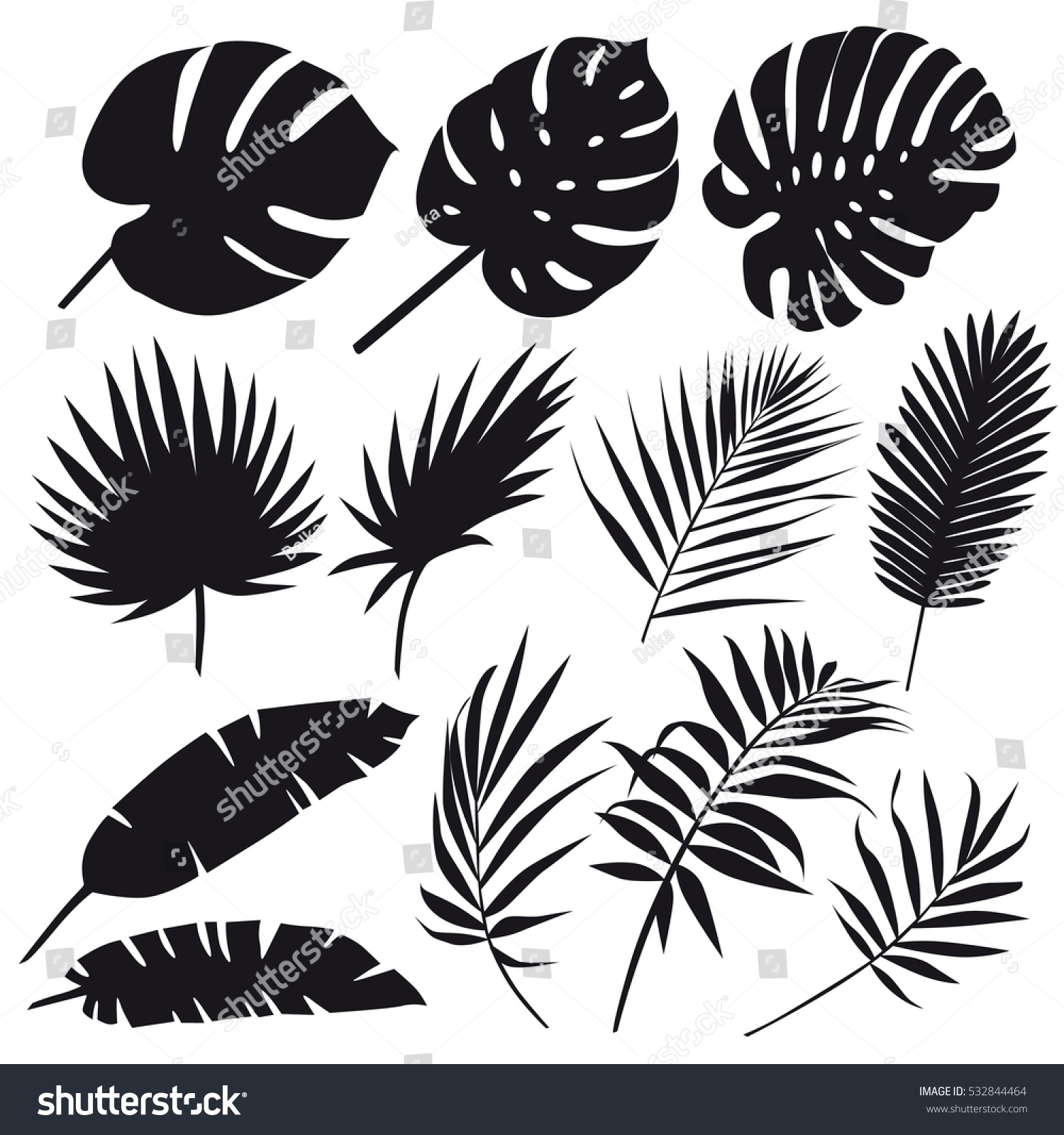 SVG of Set of palm leaves silhouettes isolated on white background. Vector EPS10  svg