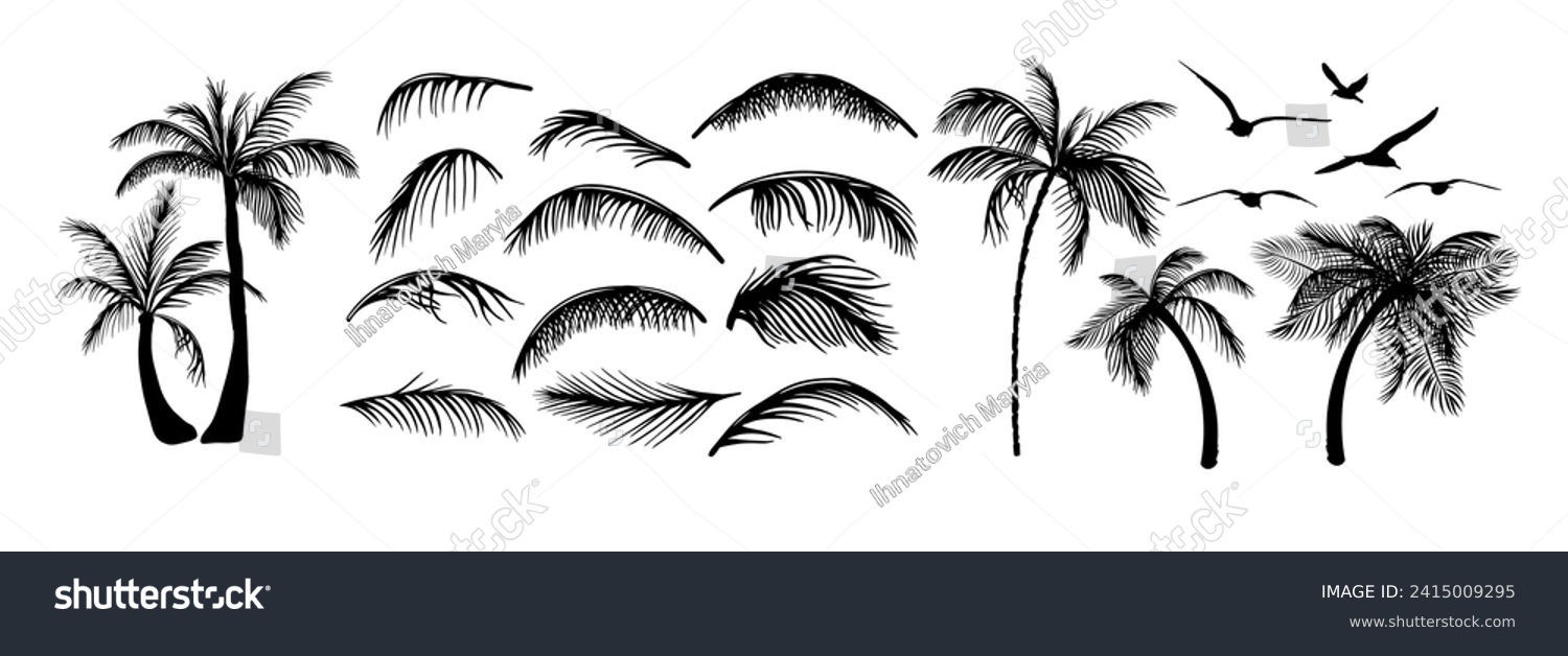 SVG of Set of palm tree elements. hand drawing. Not AI. Vector illustration svg
