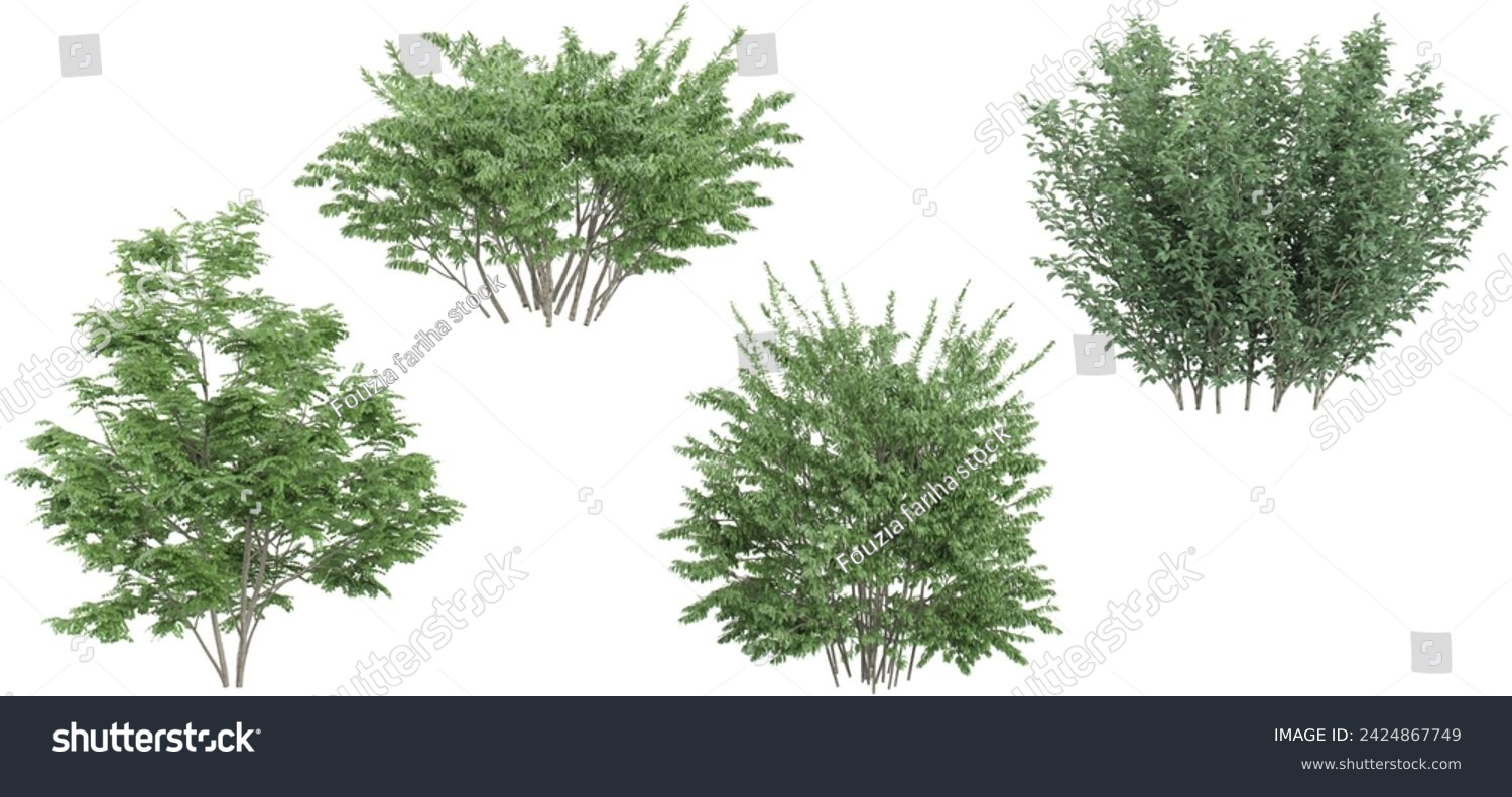 SVG of Set of photorealistic 3D rendering of Elm,Dogwood trees with ground shadows, cutout with transparent background, great for digital composition and architecture visualization svg