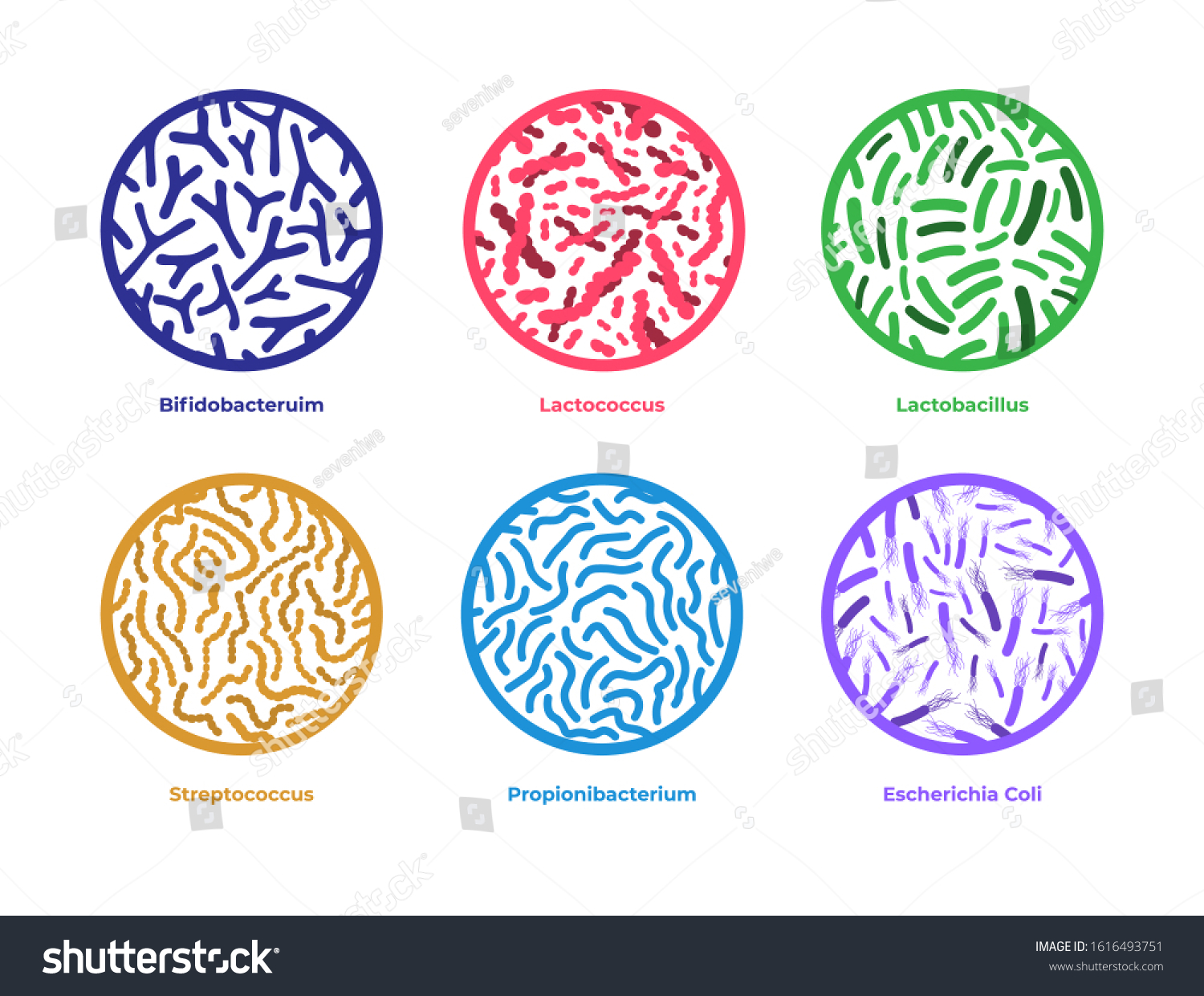 Set Probiotics Icons Different Good Bacterias Stock Vector Royalty