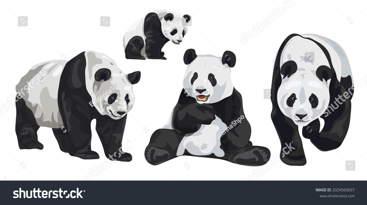 SVG of Set of realistic adult giant pandas bears and their cubs. Animals of China. Vector svg