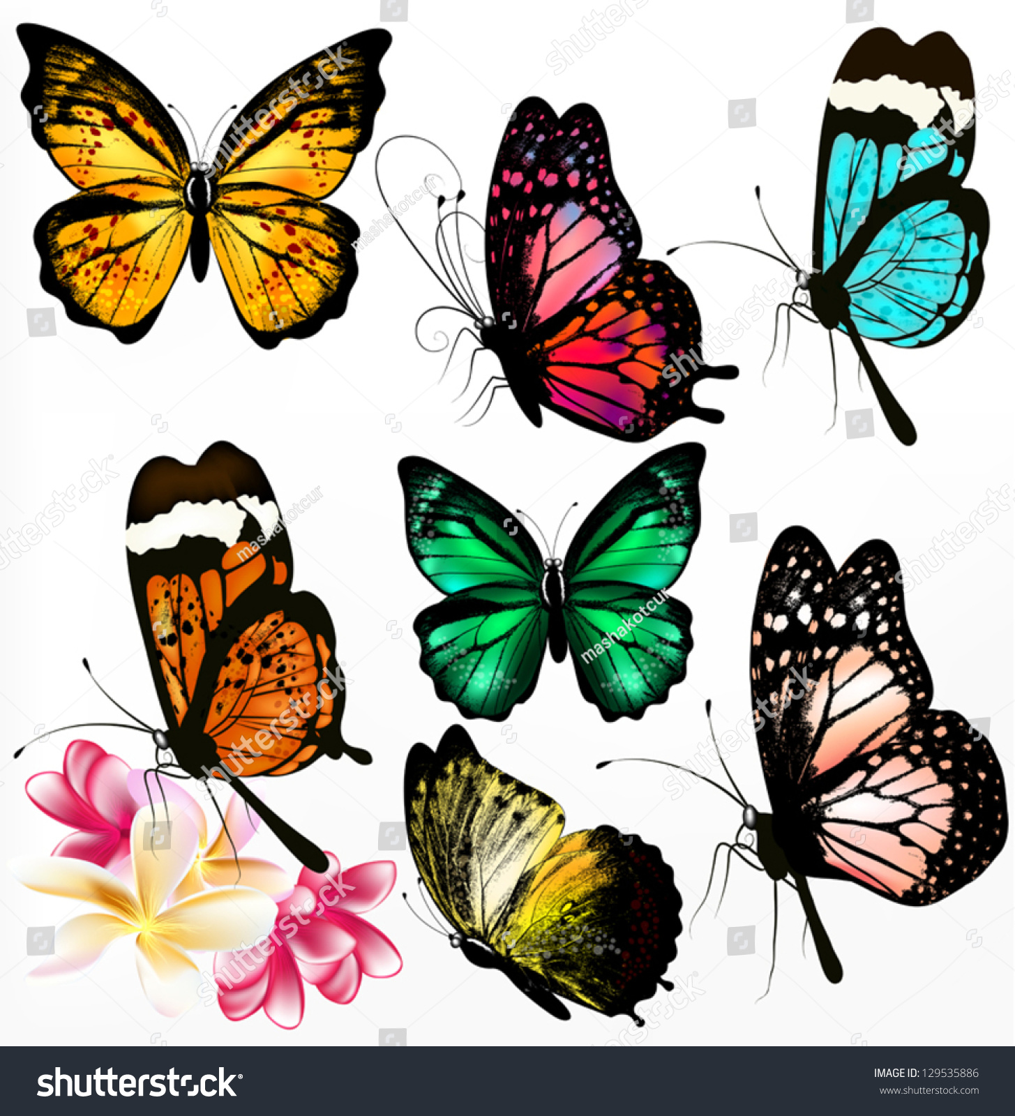 Set Of Realistic Colorful Vector Butterflies For Design - 129535886 ...