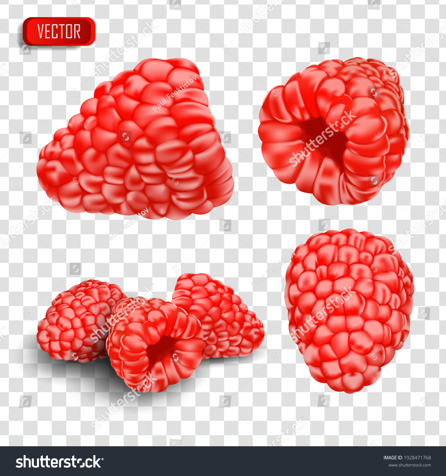 Set Realistic Raspberries Vector Illustration Berries Stock Vector Royalty Free 1928471768 4885