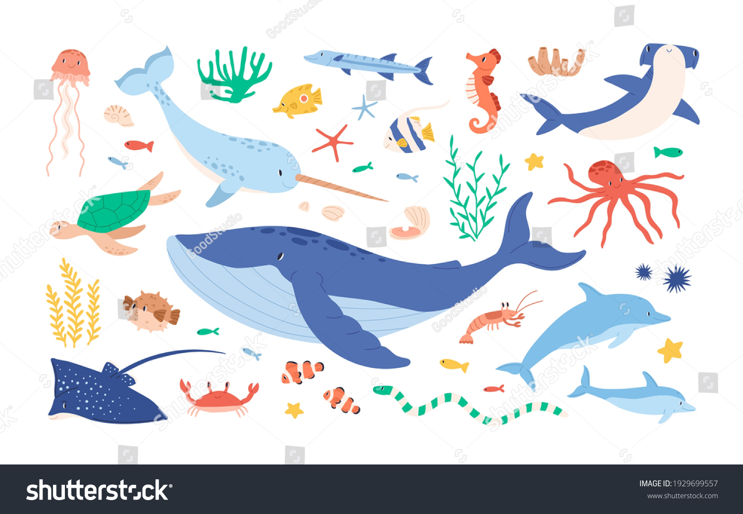 378 Whale baby head out water Images, Stock Photos & Vectors | Shutterstock