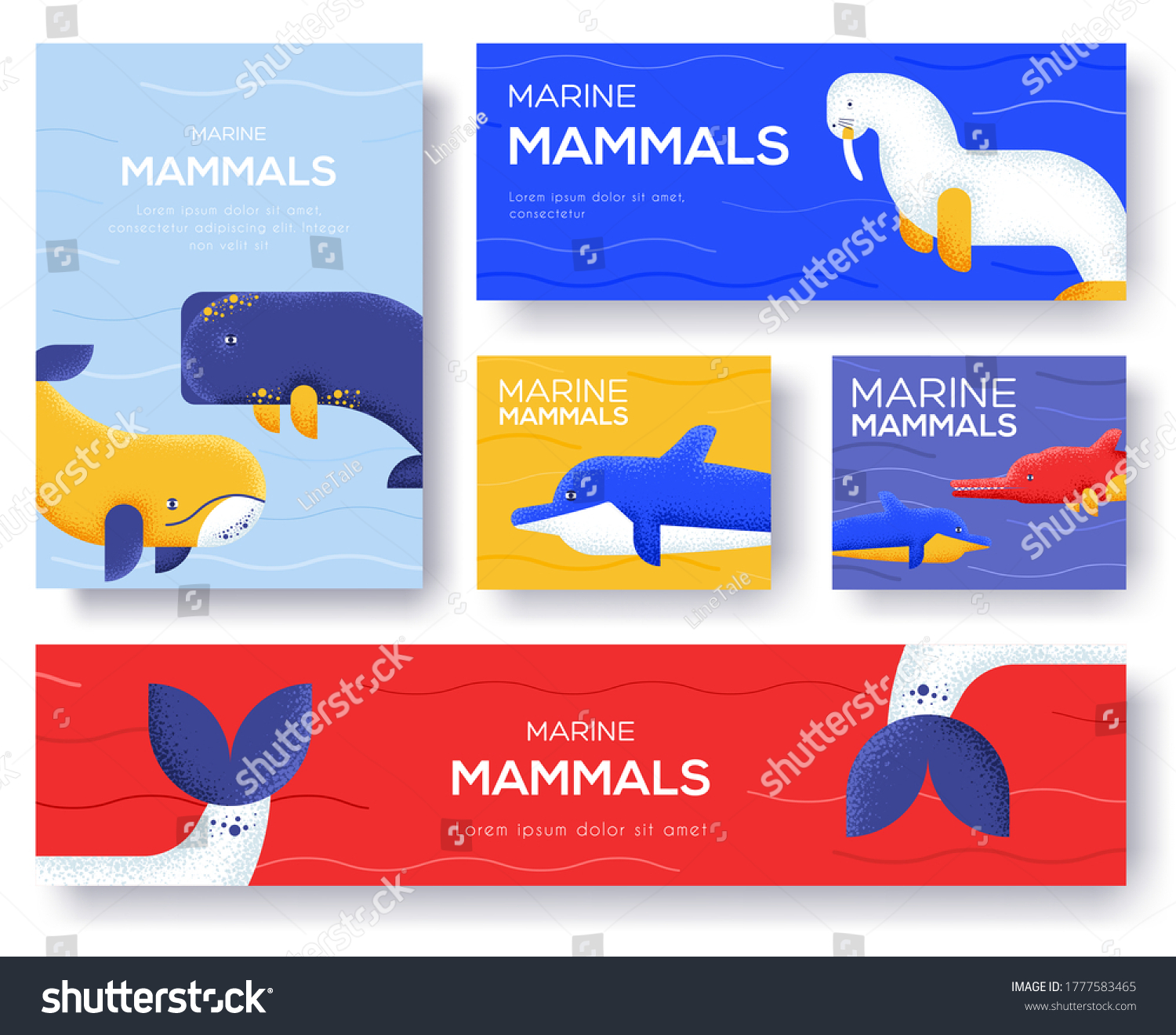 Set Sea Mammals Pattern Concept Art: เวกเตอร์สต็อก (ปลอดค่าลิขสิทธิ์