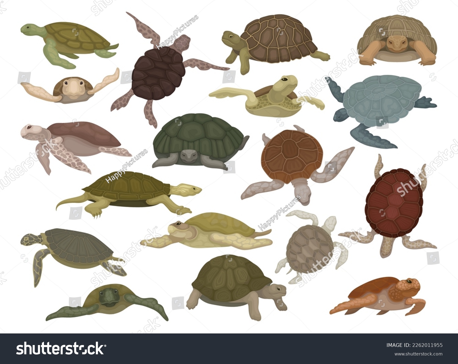 SVG of Set of sea turtles. Sea or ocean swimming tortoises cartoon vector svg